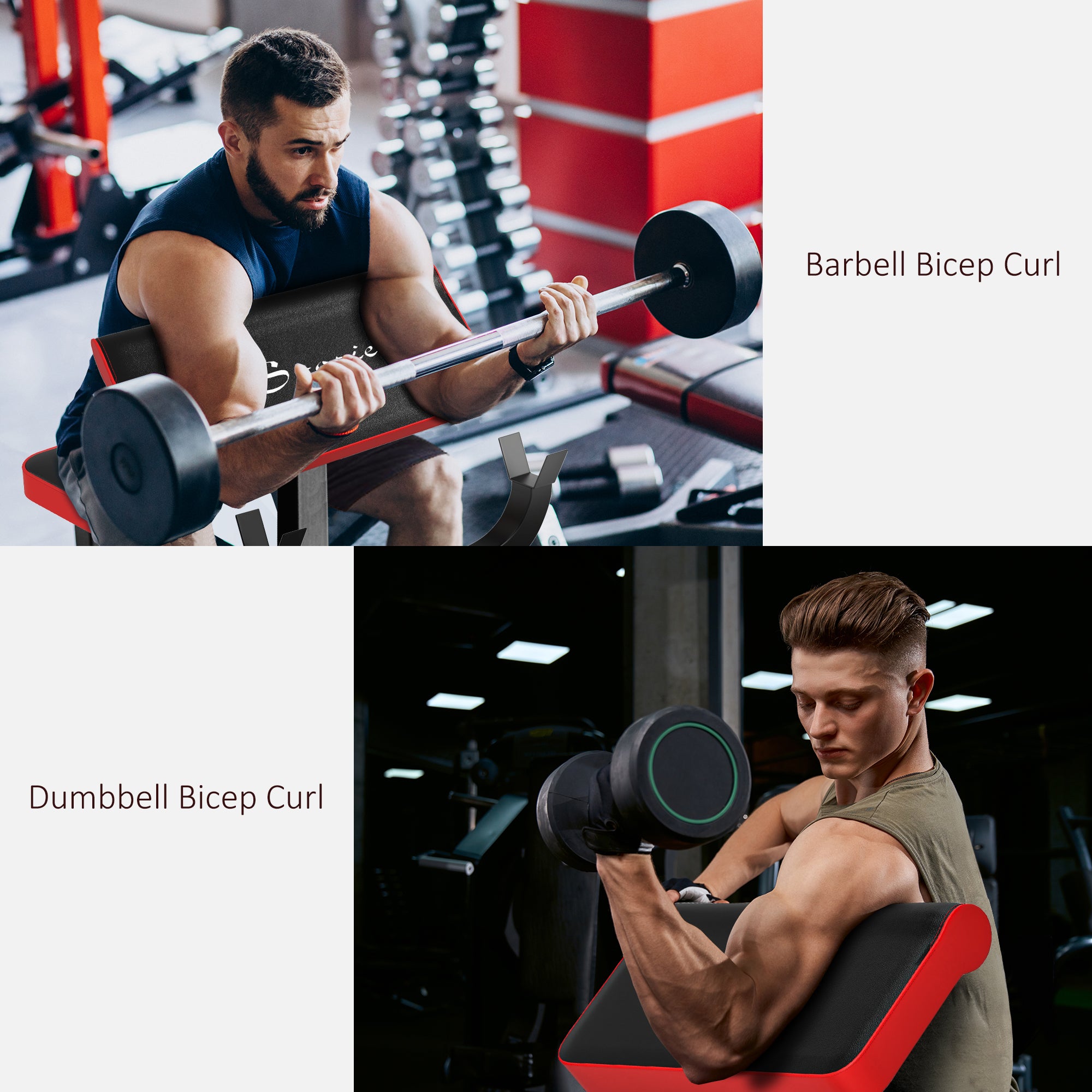 265 LBS Preacher Curl Bench for Strength Training, Adjustable Seated Arm Isolated Barbell Dumbbell Bicep Station, Black