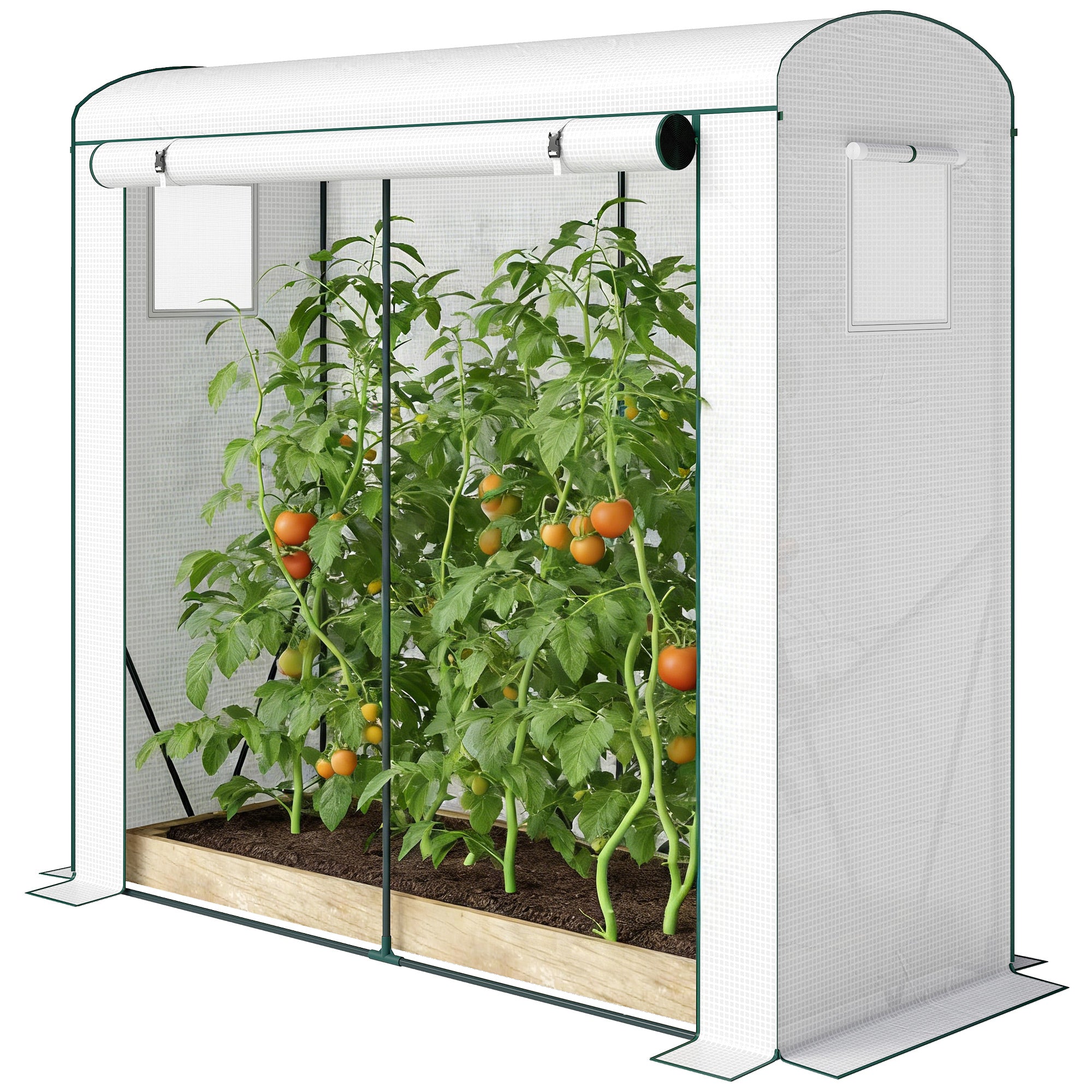 Mini Greenhouse, Portable Greenhouse with Roll-Up Door and 2 Mesh Windows, PE Cover, 78.7" x 29.5" x 74", White - White