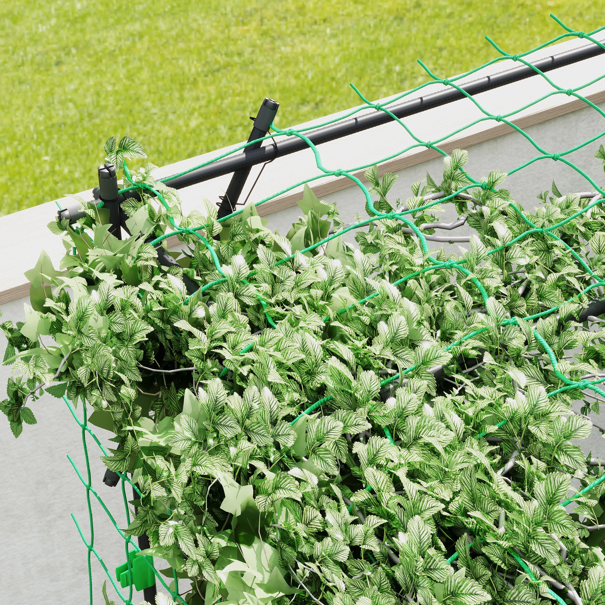 Garden Arch Trellis, 7.3 FT Tall Metal Plant Trellis Support with Climbing Net, Cucumber Trellis for Vegetables, Black - Black - Image 8