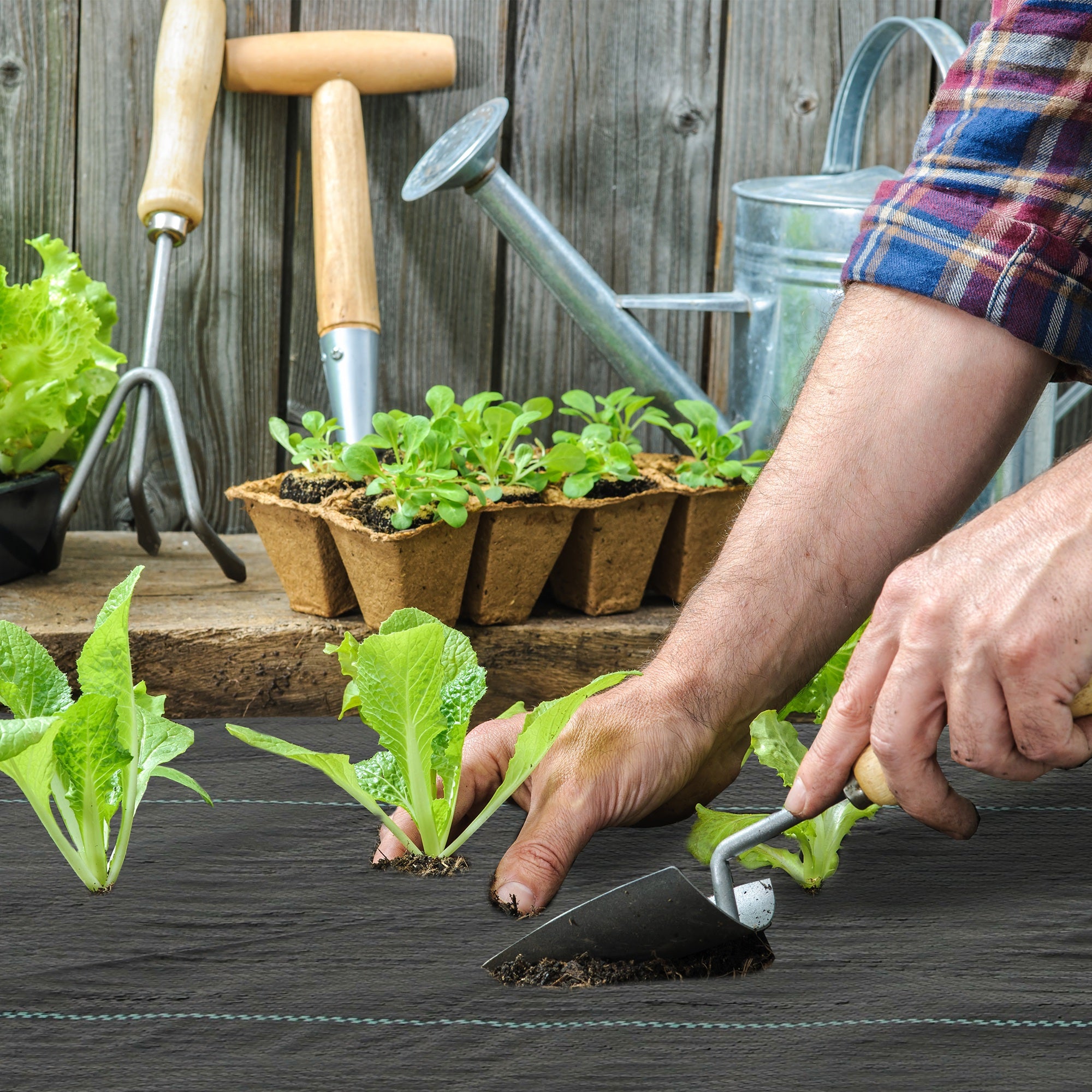 6FT x 300FT Weed Barrier Landscape Fabric, 5oz Heavy Duty Woven Weed Control Fabric for Landscaping - Black - Image 8