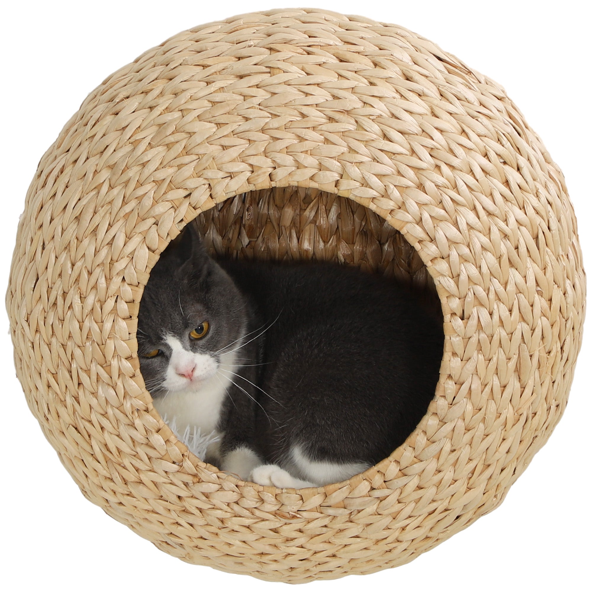 Wall Mounted Cat Condo with Washable Cushion, Natural Wood - Natural Wood