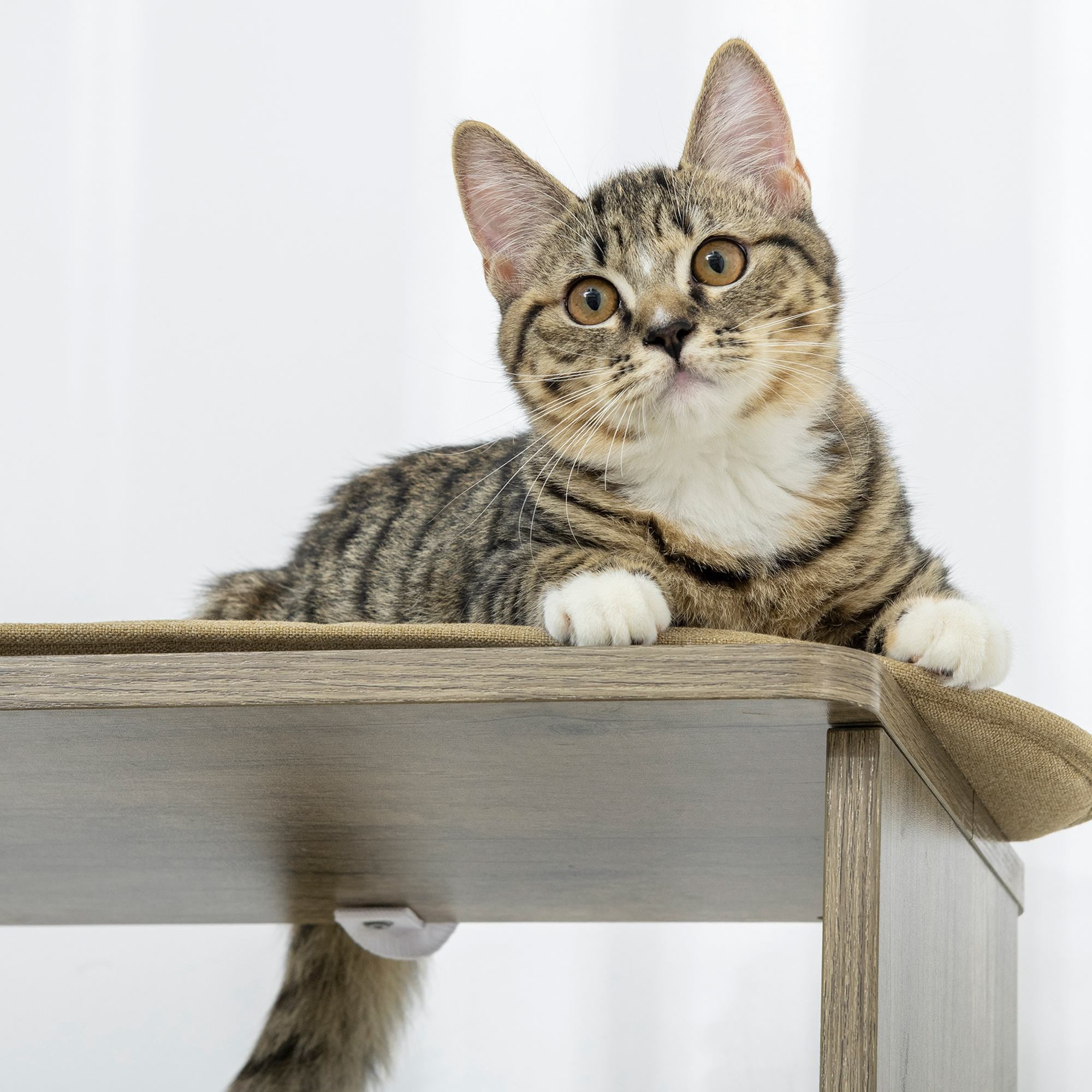 65" Corner Modern Cat Tree Tall for Climbing, Large Multilevel Cat Tower with Scratching Posts, Small-Fit Kitten Tower with Sisal, Cream White - Cream White - Image 7