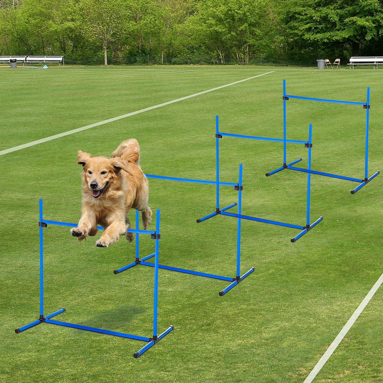 4 Piece Dog Agility Starter Kit with Adjustable Height Jump Bars, Included Carry Bag & Displacing Top Bar - Blue - Blue - Image 2
