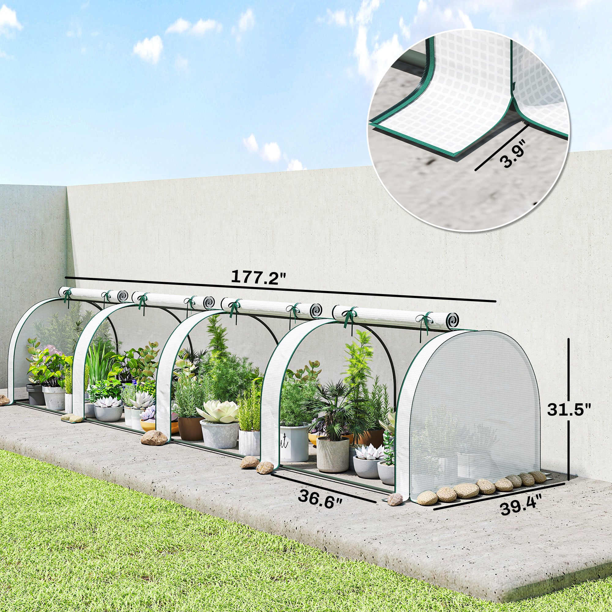 Mini Greenhouse, Portable Greenhouse with 4 Roll-Up Doors, PE Cover, 177.2" x 39.4" x 31.5", White - White - Image 3