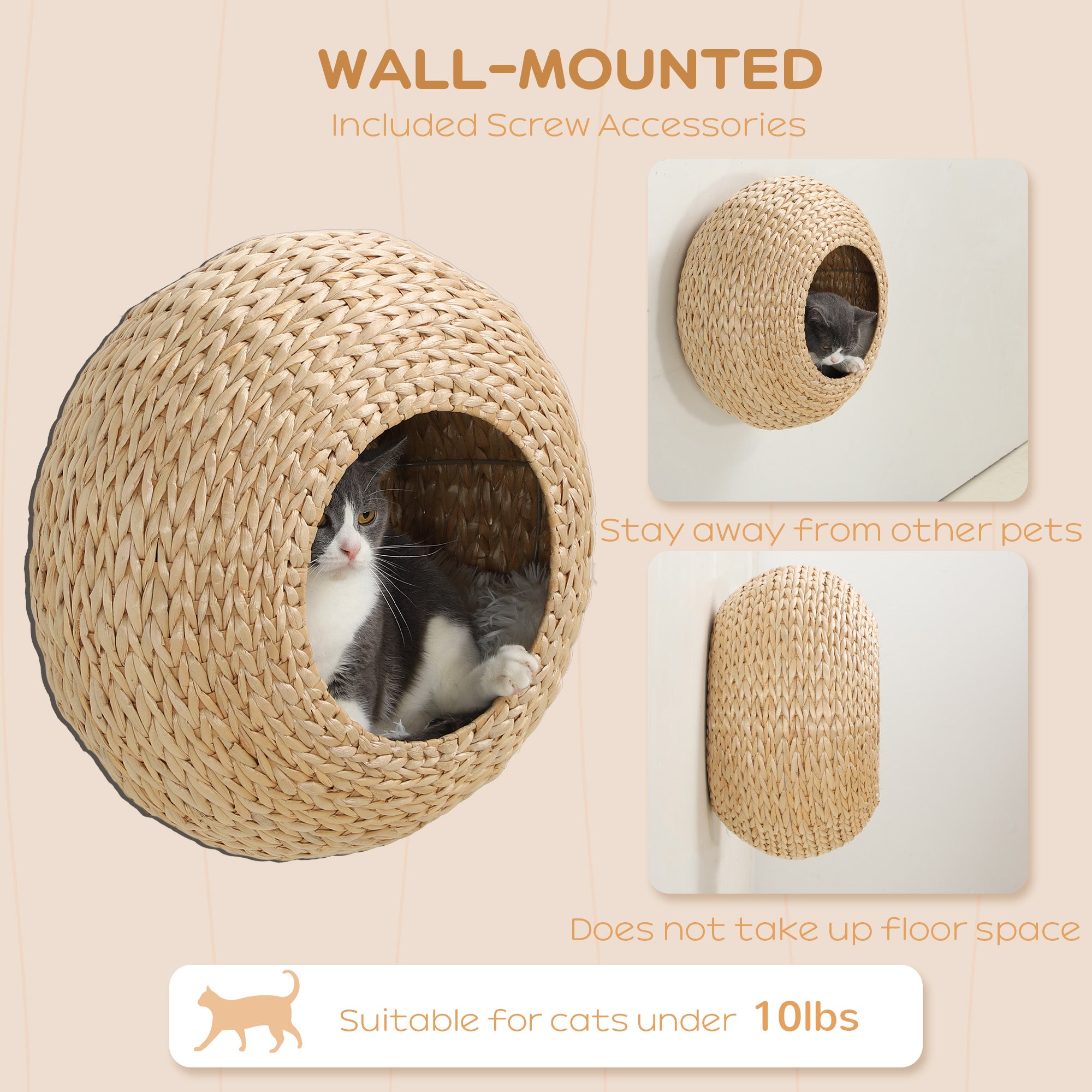 Wall Mounted Cat Condo with Washable Cushion, Natural Wood - Natural Wood - Image 4