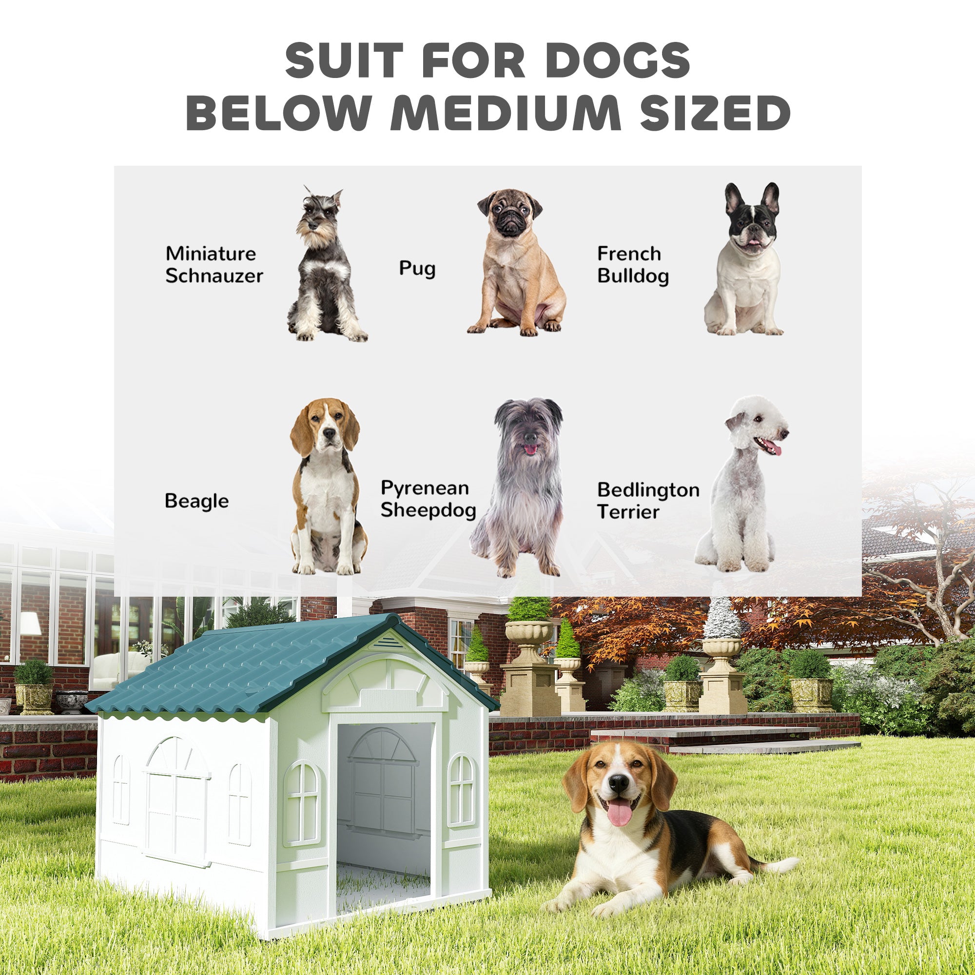 Plastic Dog House for Medium and Small Dogs, Water Resistant Puppy Shelter Indoor Outdoor with Door, Easy to Assemble, Blue - Blue - Image 7