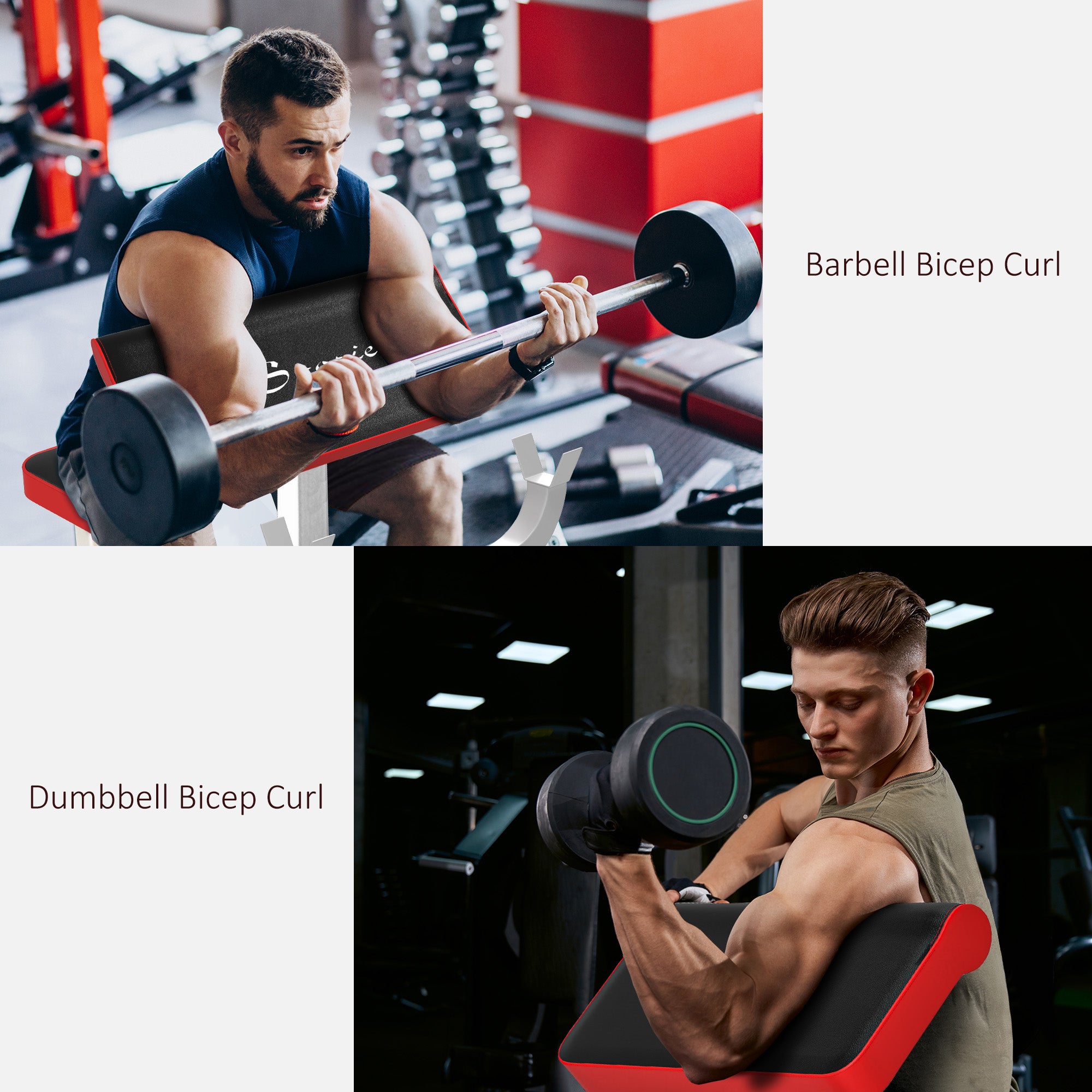 265 LBS Preacher Curl Bench for Strength Training, Adjustable Seated Arm Isolated Barbell Dumbbell Bicep Station, White