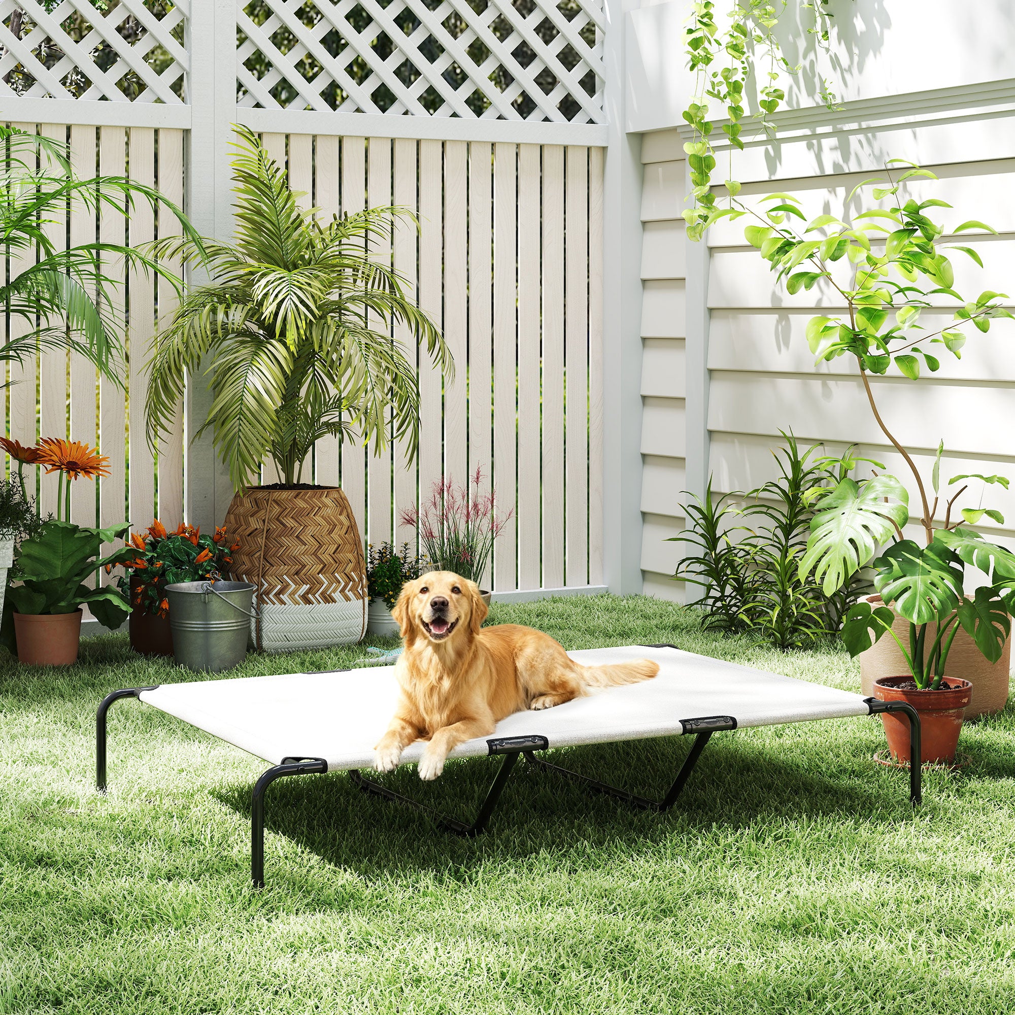 Elevated Dog Bed for Large Breeds Beige 60"L - Beige - Image 8