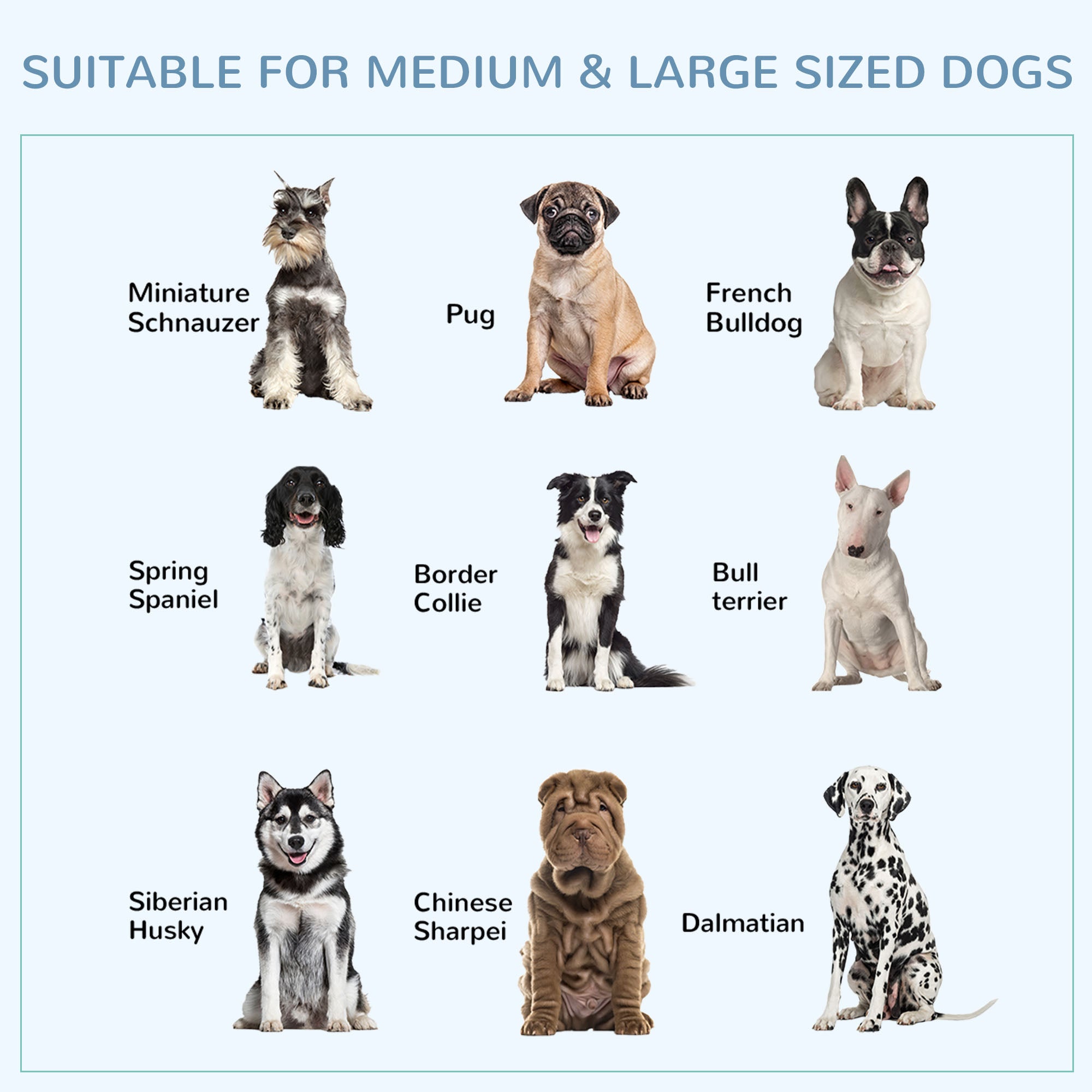 43" Heavy Duty Dog Crate Metal Cage Kennel with Lockable Wheels, Double Door and Removable Tray, Gray - Grey Vein - Image 7