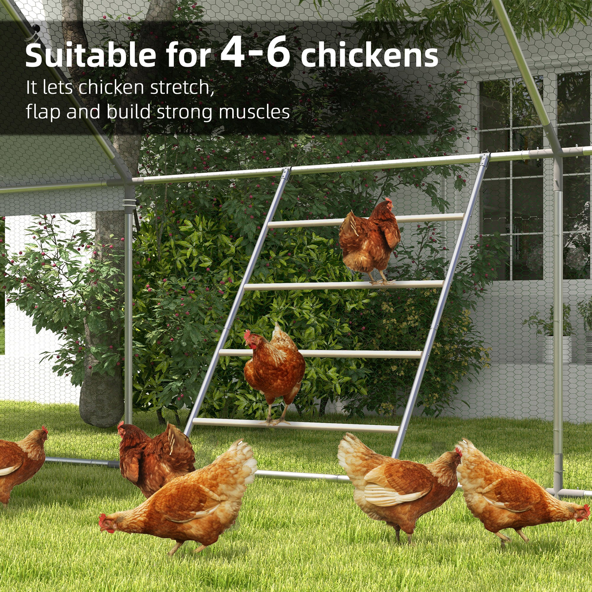 Chicken Roost for Coop, Jungle Gym Roosting Bar, 55" x 33.75" - Natural Wood - Image 6