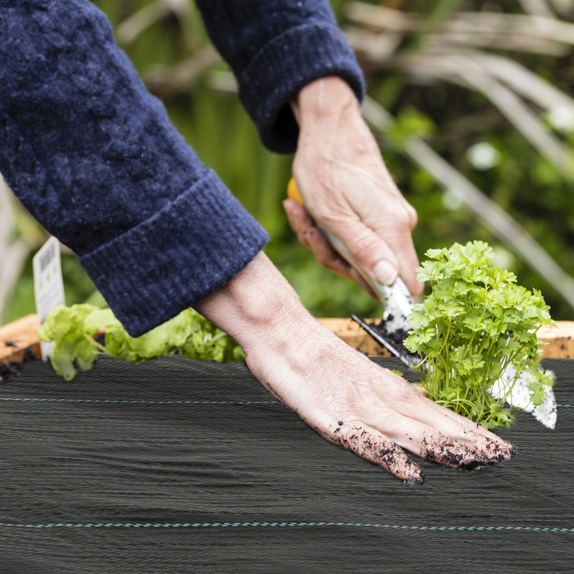 4FT x 300FT Weed Barrier Landscape Fabric, 5oz Heavy Duty Woven Weed Control Fabric for Landscaping - Black - Image 8