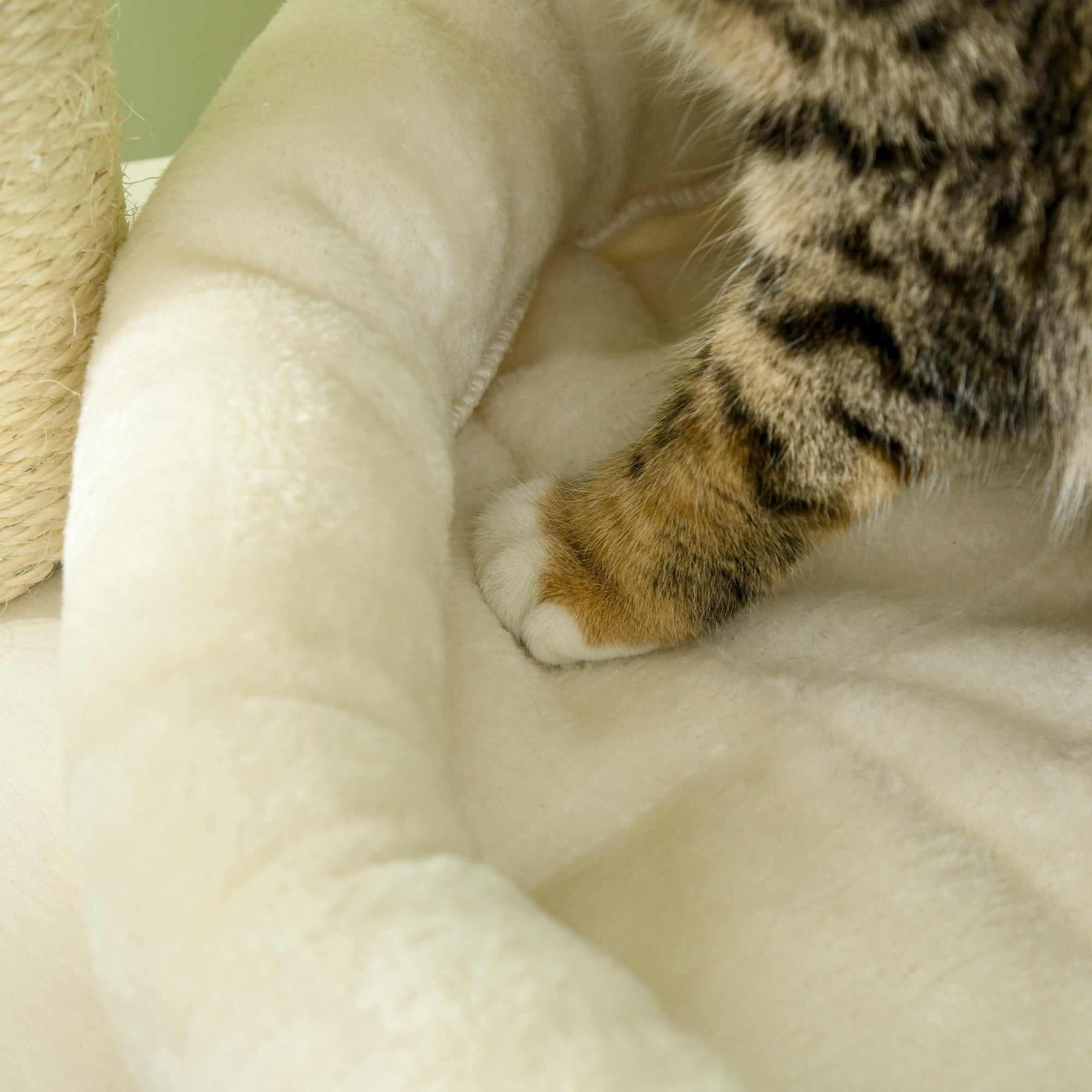 Cat Tree, 3 Level Cat Tower with Scratching Posts, Bed, Condo, Badminton Toys, for Multiple Kittens - Natural - Image 7
