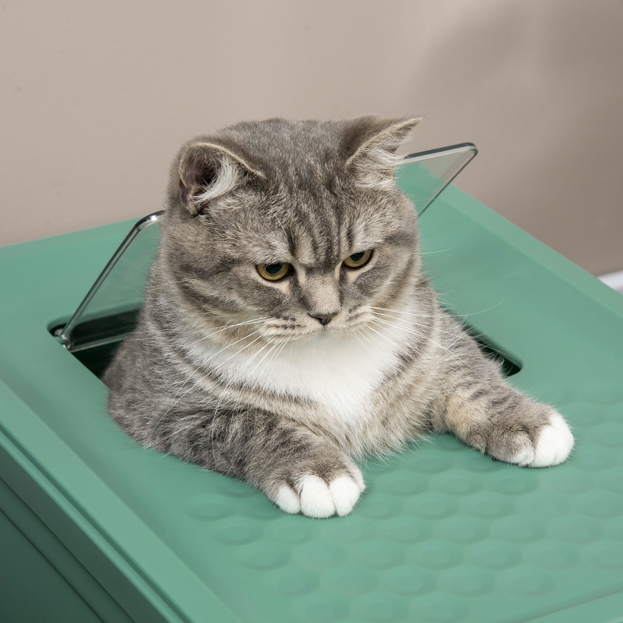 Fully Enclosed Cat Litter Box with Front Entry and Top Exit, Plastic, Green & White - Green - Image 8