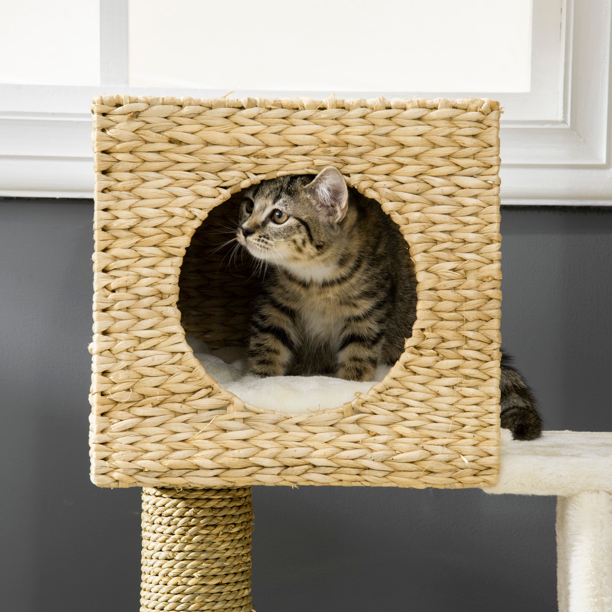 Cattail Weave Cat Tree for Indoor Cats Kitty Tower with Rattan Cat Condo, Wicker Bed, Ladder, Washable Cushions, 22.5" x 14.5" x 39.5", Natural - Natural Wood - Image 8