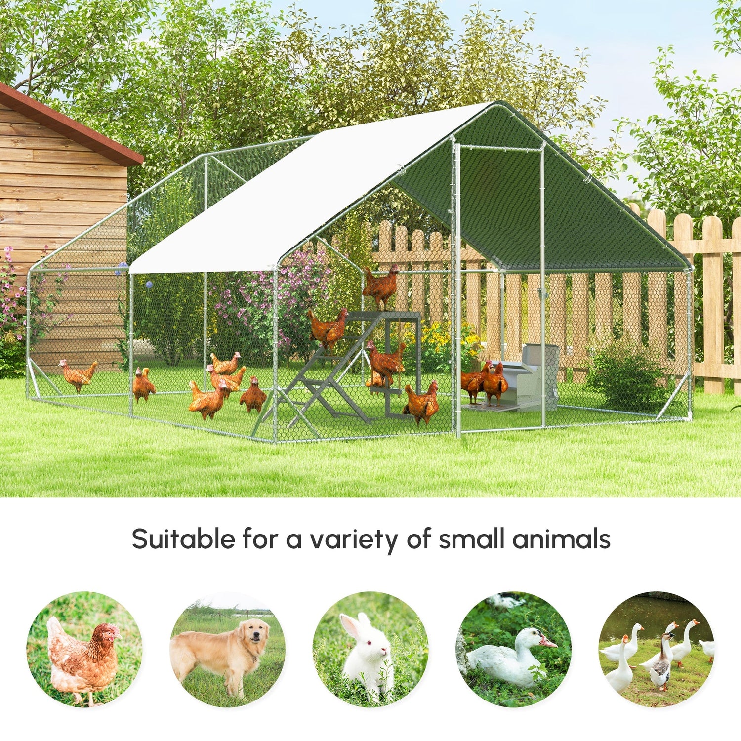 Beginner Homestead Setup: Your Complete Guide to Starting a Backyard Homestead in 2026