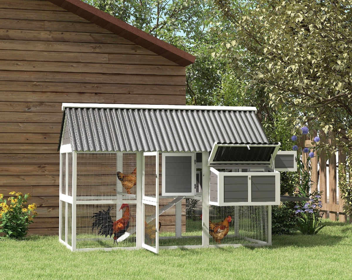 Coops & Animal Housing