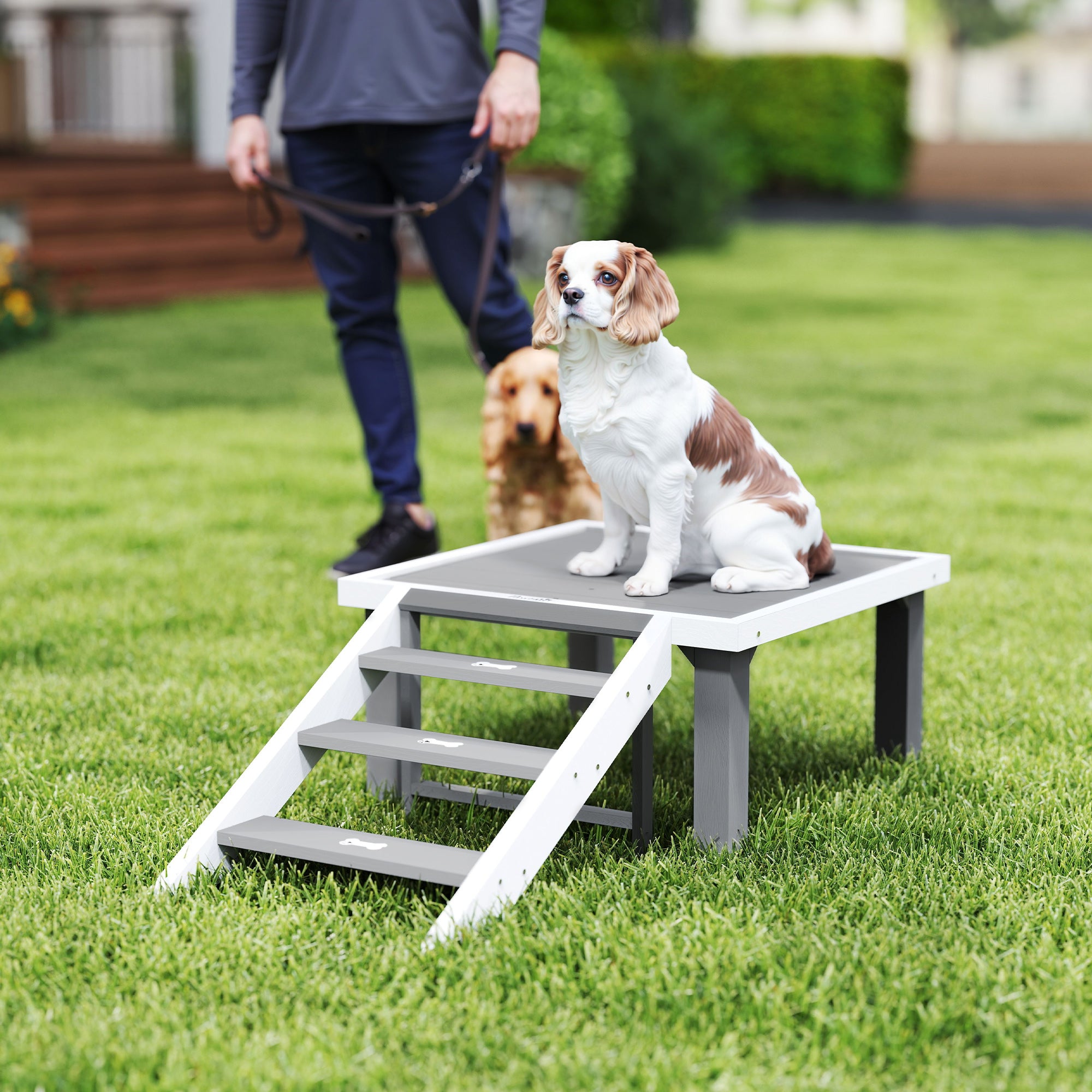 Wooden Dog Training Place Board, Dog Training Platform with Ladder, Pet Agility System for Indoor Outdoor, Gray - Gray - Image 2