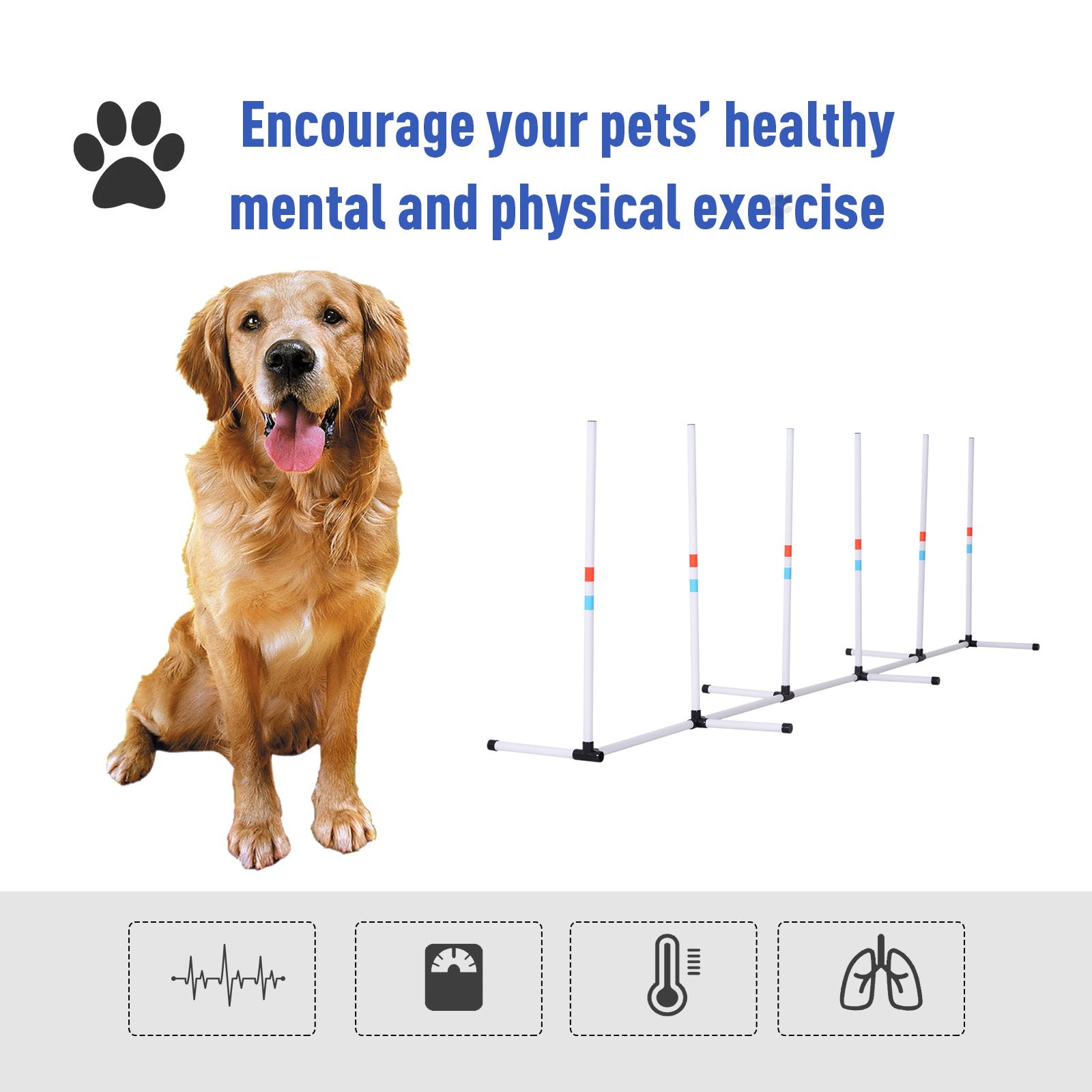 Sturdy Dog Weaves Poles Pet Speed and Agility Equipment Dogs Obstacle Outdoor w/ Storage Bag - White - Image 6