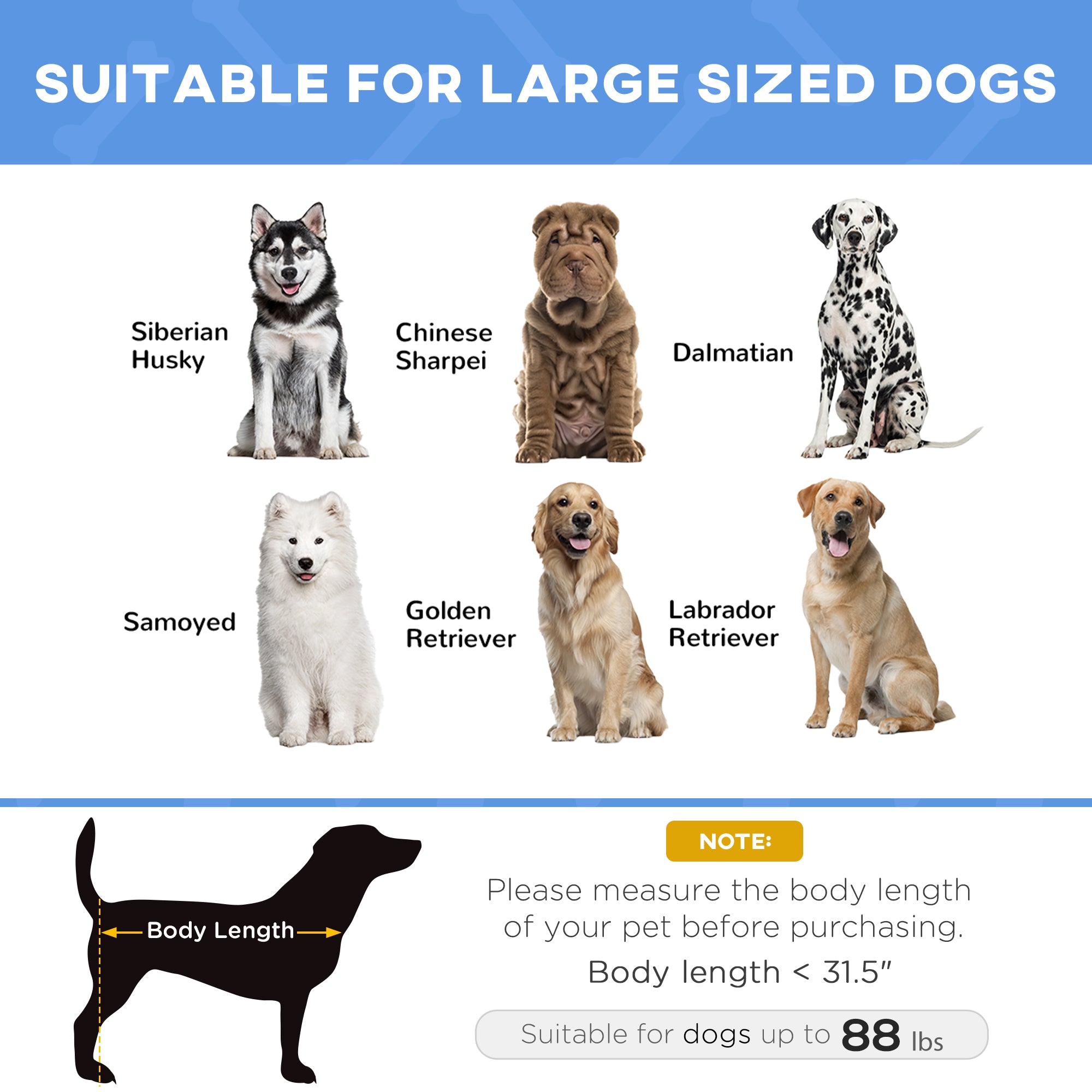 48" x 36" Elevated Breathable Dog Bed w/ Carry Bag Dark Blue - Dark Blue - Image 7