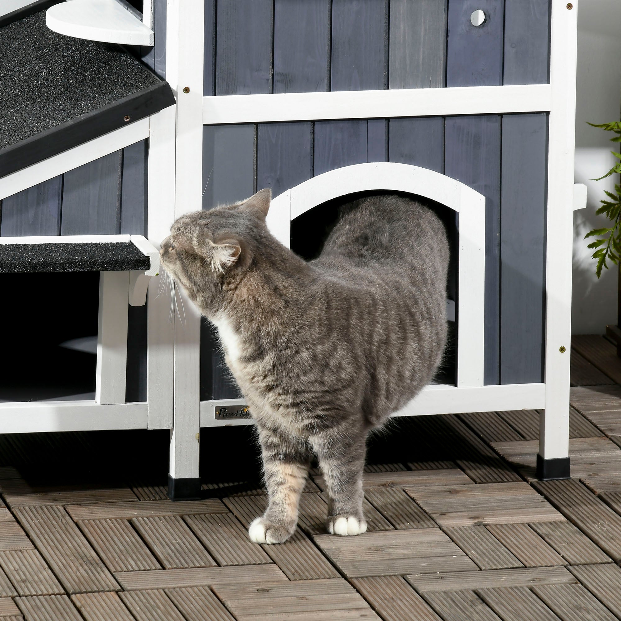 Outdoor Cat House with Weather-resistant Roof & Garden Bed, Outdoor Cat Shelter Enclosure with Multiple Entrances, Modern Cat Furniture Hideout, Cat Gifts, Gray - Gray - Image 8