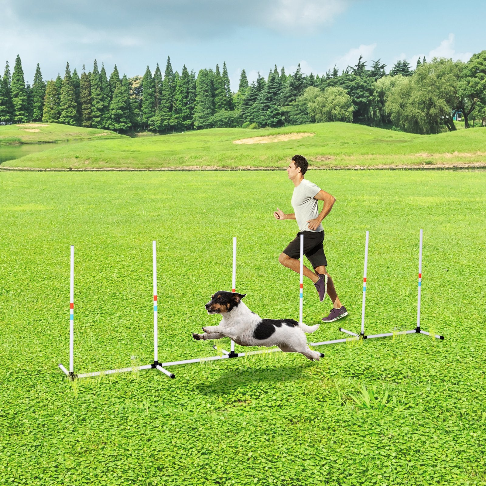 Sturdy Dog Weaves Poles Pet Speed and Agility Equipment Dogs Obstacle Outdoor w/ Storage Bag - White - Image 2