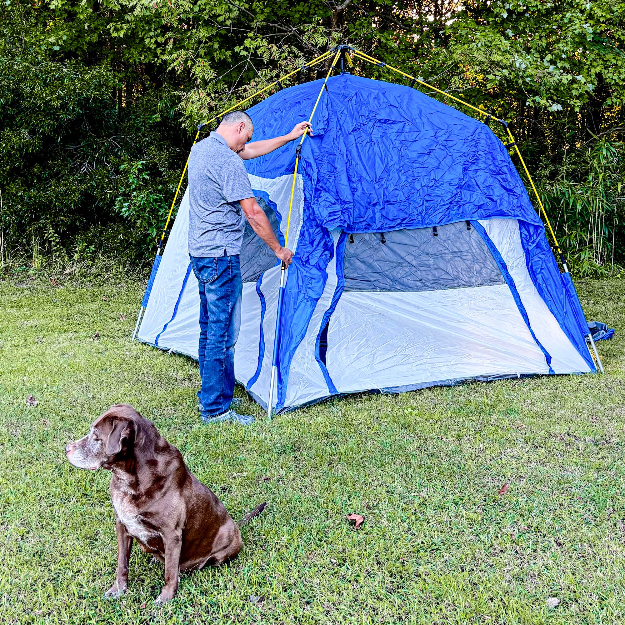3 Person Pop Up Camping Tent Quick Setup Automatic Hydraulic Family Travel Tent w/ Windows Doors Carry Bag, Blue