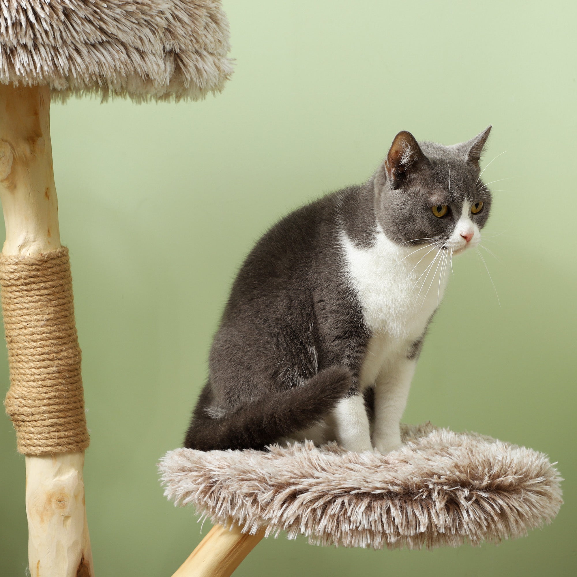 35 Inch Modern Cat Tree for Indoor Adult Cats with Wooden Scratching Posts, Cat Bed & Rope Cat Toy, Brown - Brown - Image 7
