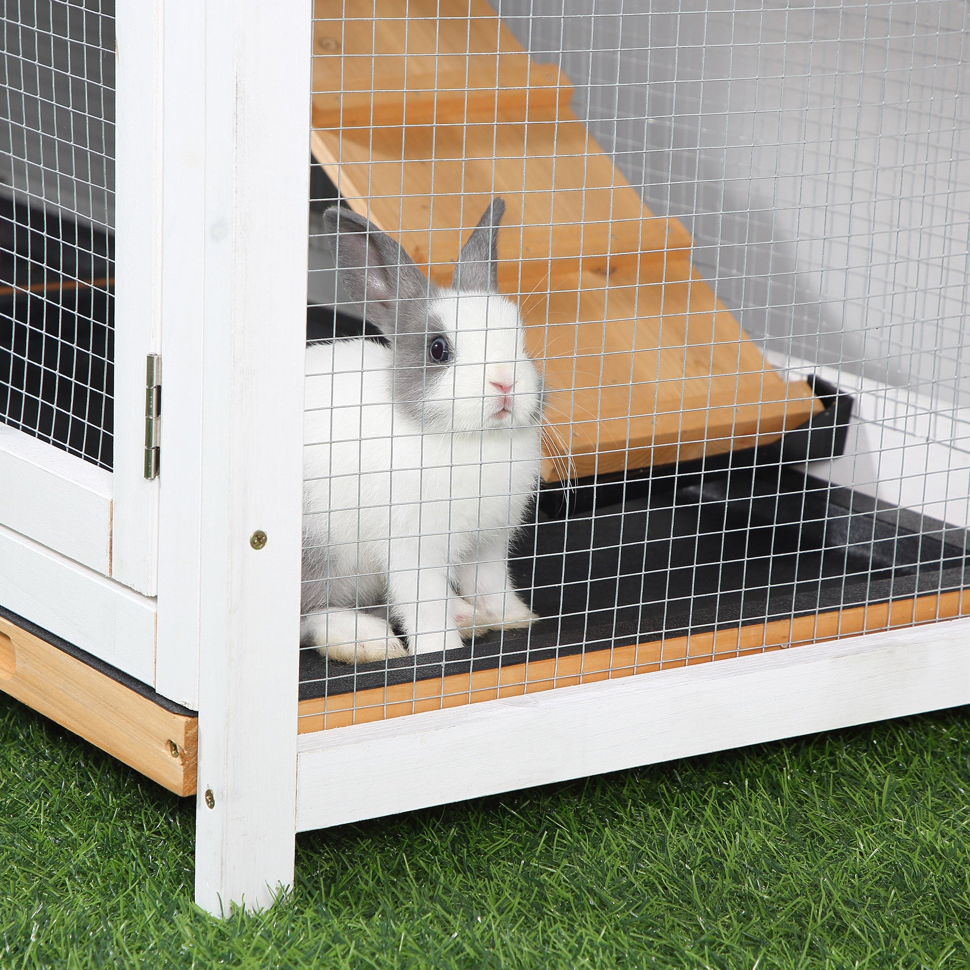 62" Rabbit Hutch, Wooden Bunny Hutch, Guinea Pig Cage, Small Animal Enclosure with Run Area, Removable Tray, Asphalt Roof, Lockable Doors and Ramp, for Rabbits, Chickens, Ducks, Nature Wood - Natural Wood - Image 8