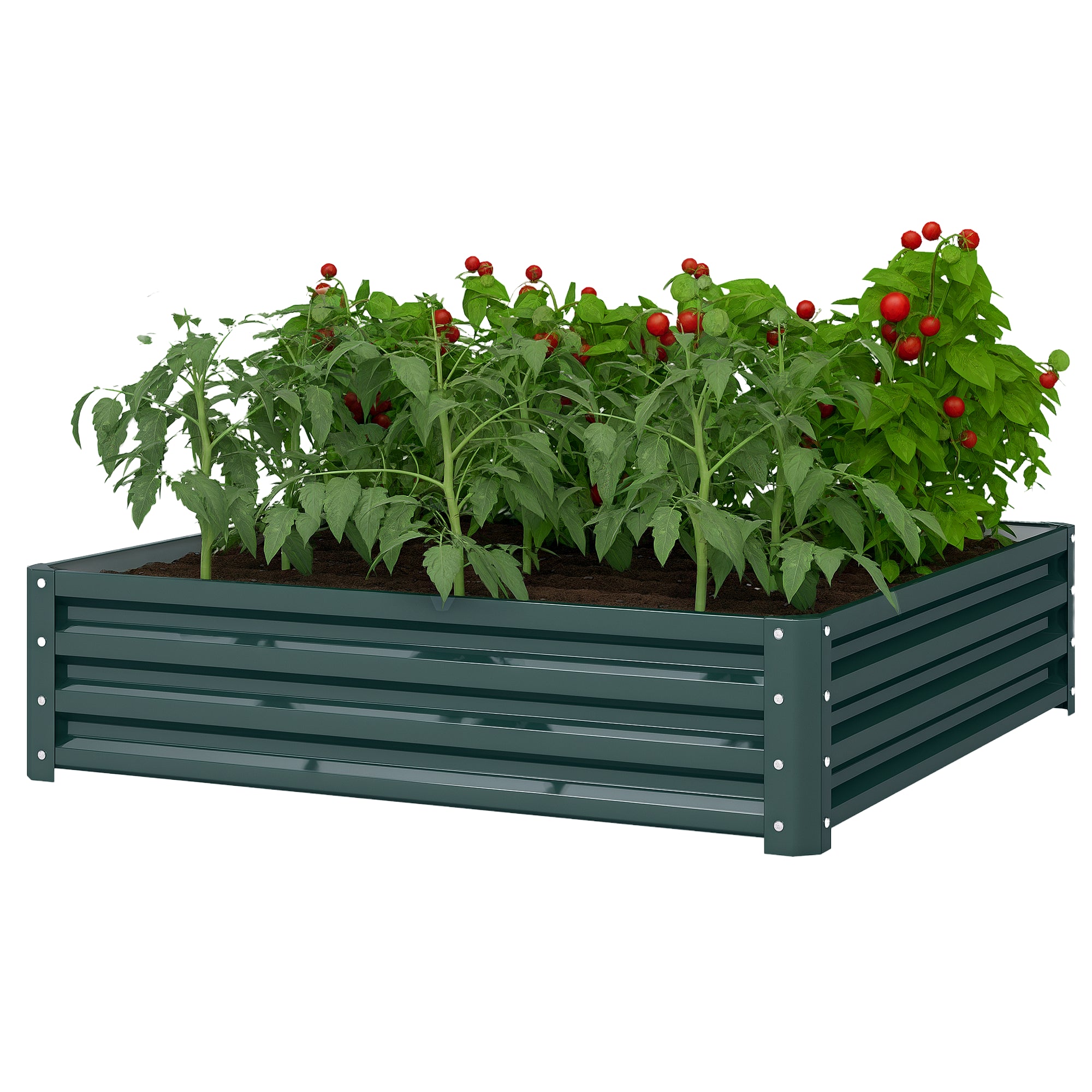 Galvanized Raised Garden Bed, 4' x 4' x 1' Metal Planter Box, for Growing Vegetables, Flowers, Herbs, Succulents, Green - Green