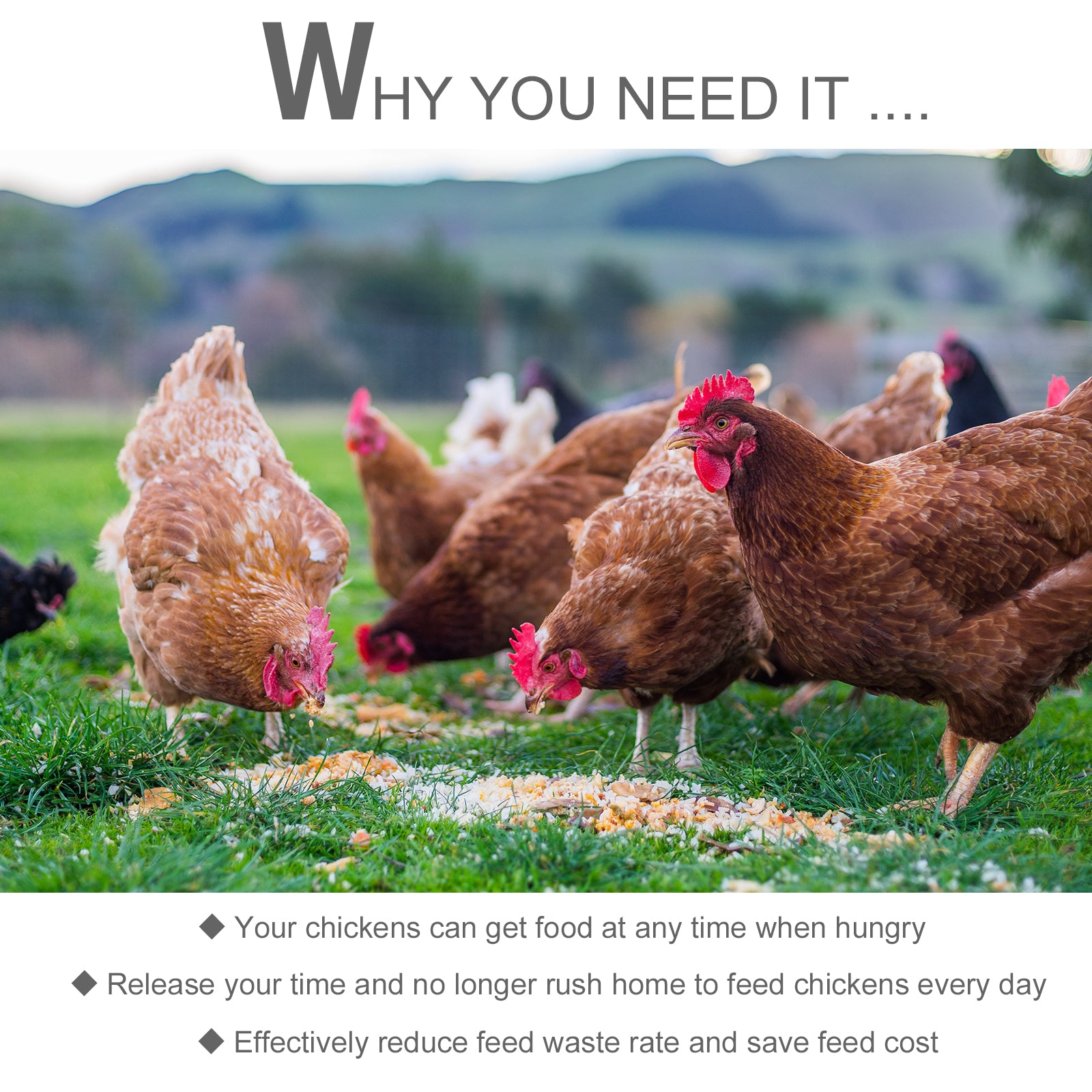 25 lbs Capacity Automatic Chicken Poultry Feeder with a Galvanized Steel and Aluminium Build, Weatherproof Design - Silver - Image 7