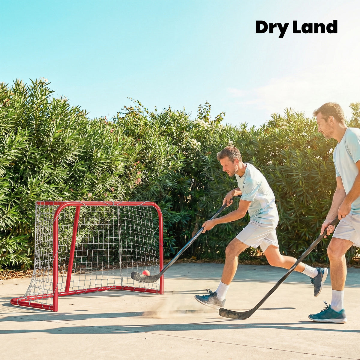 35" x 18" Street Hockey Goal, Easy Setup Hockey Net with Metal Frame, Lightweight & Portable