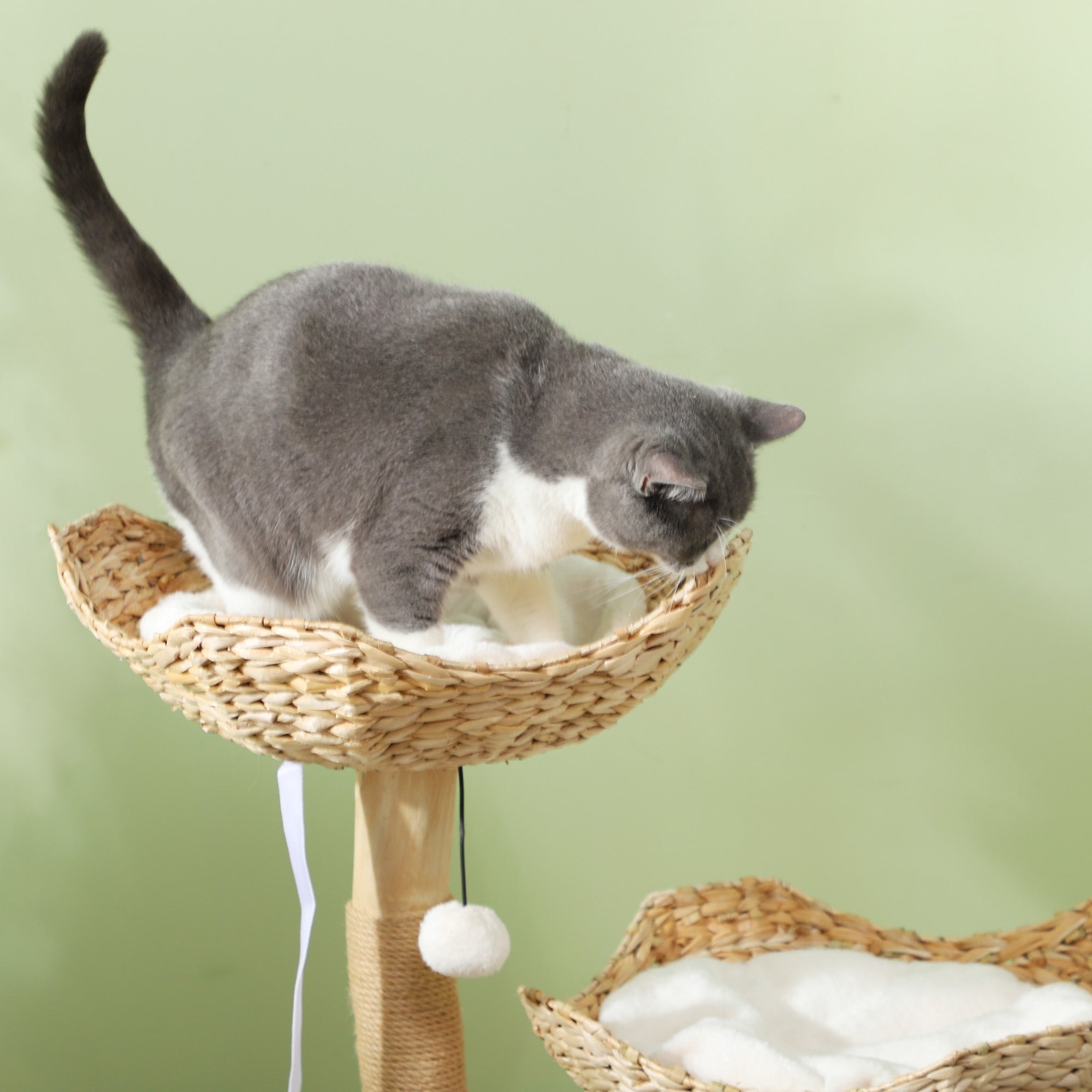 37 Inch Modern Cat Tree w/ Wooden Scratching Posts, Condo, Beds, Cushions, Toy Balls & Anti-Tip Kit - Cream White - Image 8
