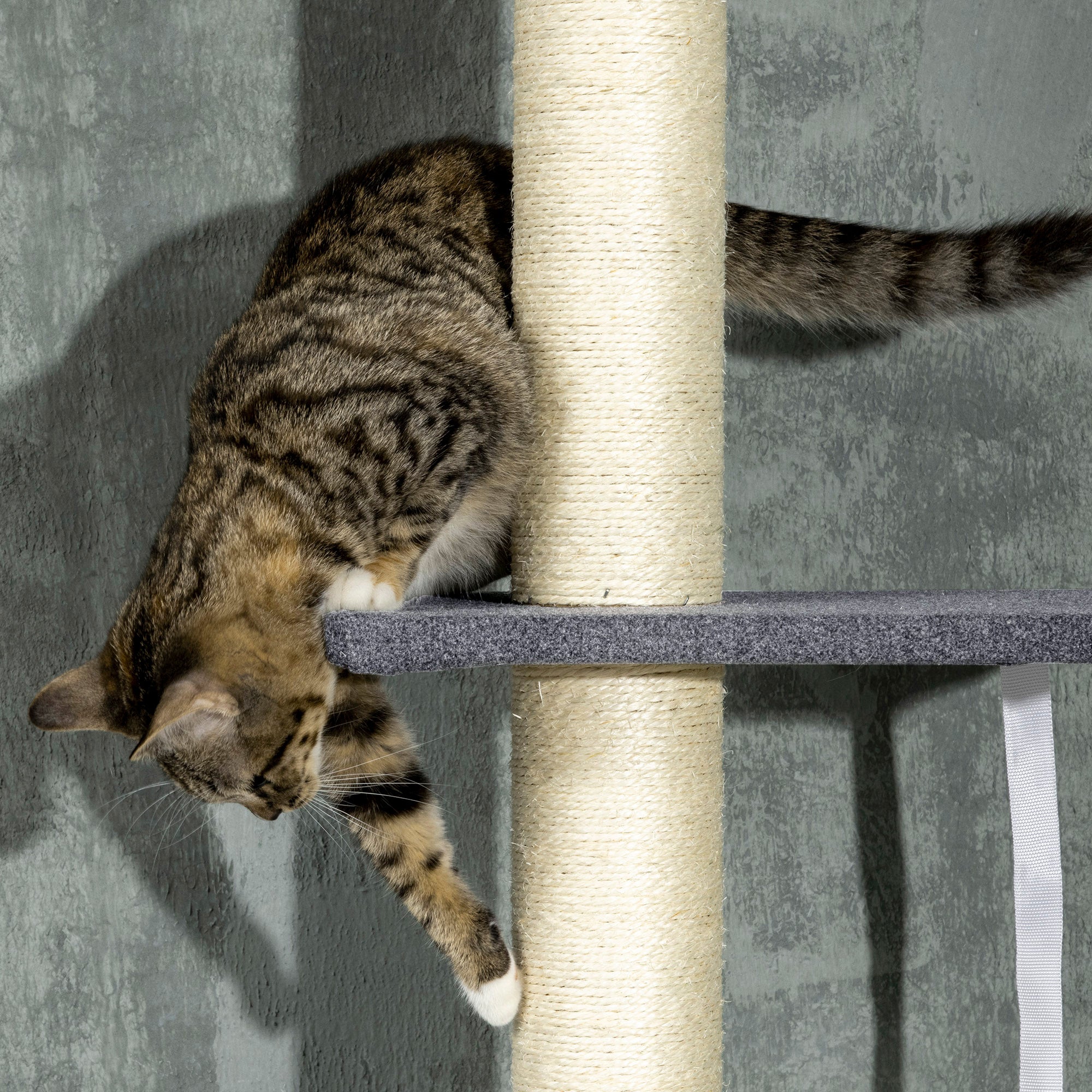 Floor To Ceiling Cat Tree, 5-Tier Cat Climbing Tower, 95''-106'' Height Adjustable with Carpeted Platforms, Cozy Bed, Hammock, Scratching Post & Toy Ball for Indoor Cats, Dark Gray and Cream - Black, Cream - Image 8