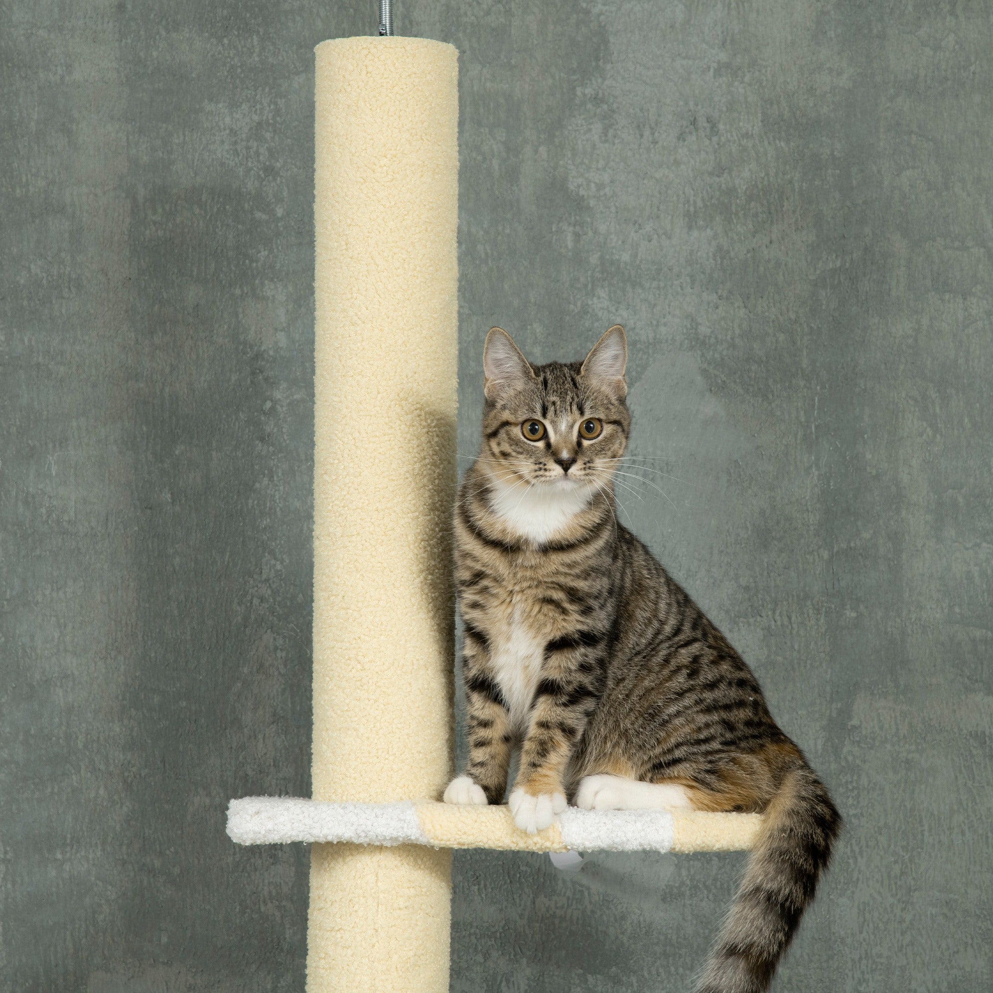 4-Tier Floor to Ceiling Cat Tree Height Adjustable 87 -103 Inch - Yellow - Image 8