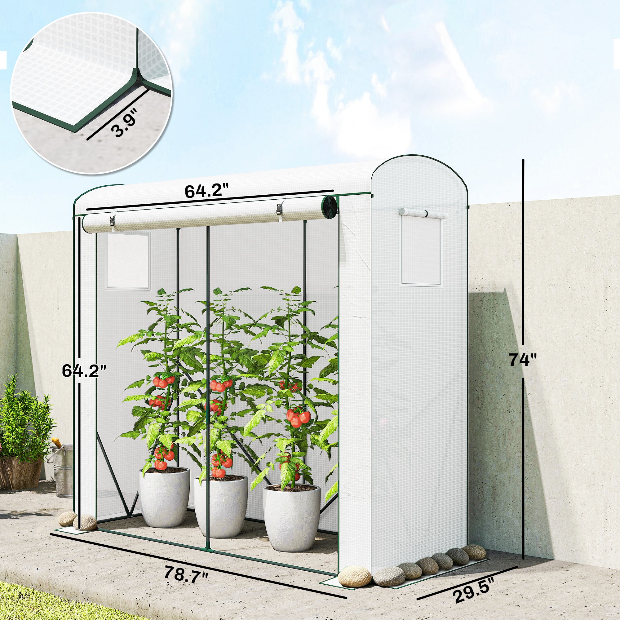 Mini Greenhouse, Portable Greenhouse with Roll-Up Door and 2 Mesh Windows, PE Cover, 78.7" x 29.5" x 74", White - White - Image 3