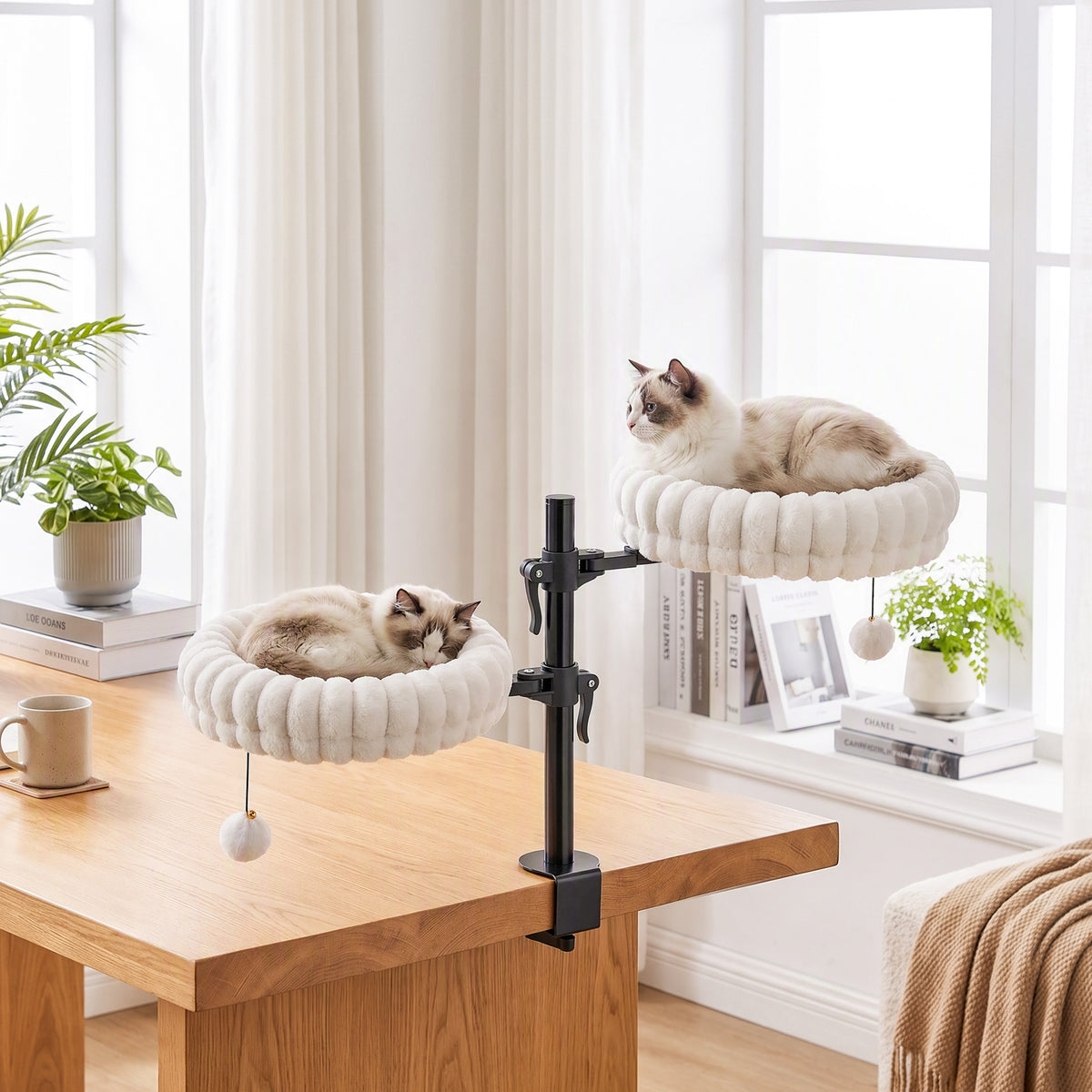 Cat Desk Bed for Indoor, Cat Hammock with 2 Removable Beds, 2 Hanging Balls for Desk, Windows, Holds Up to 24 lbs, White