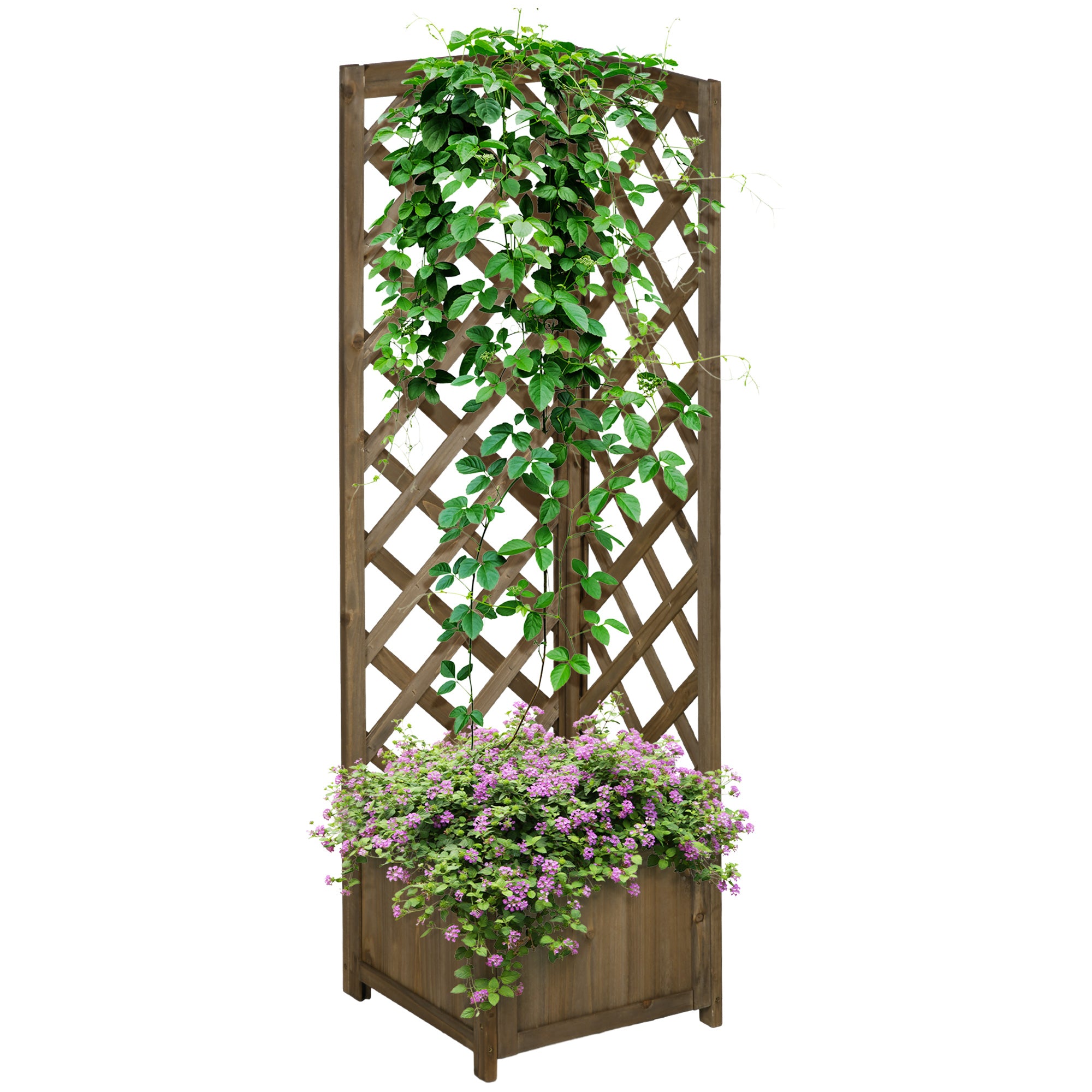 Wooden Raised Garden Bed, Planter with Trellis for Vine Climbing and Vegetables, Herbs and Flowers Growing, Carbonized - Carbonized