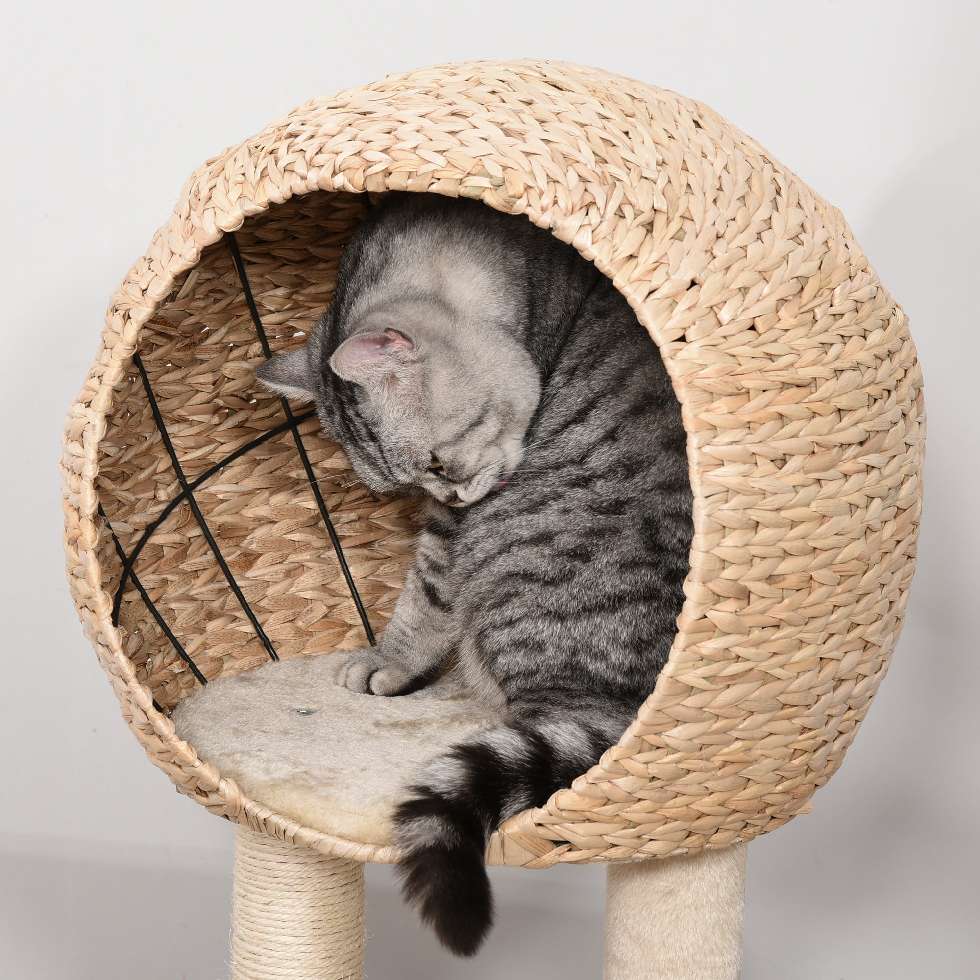 Cat Tree with Sisal Scratching Post Condo and Hanging Rope 39" H, Beige - Beige - Image 8