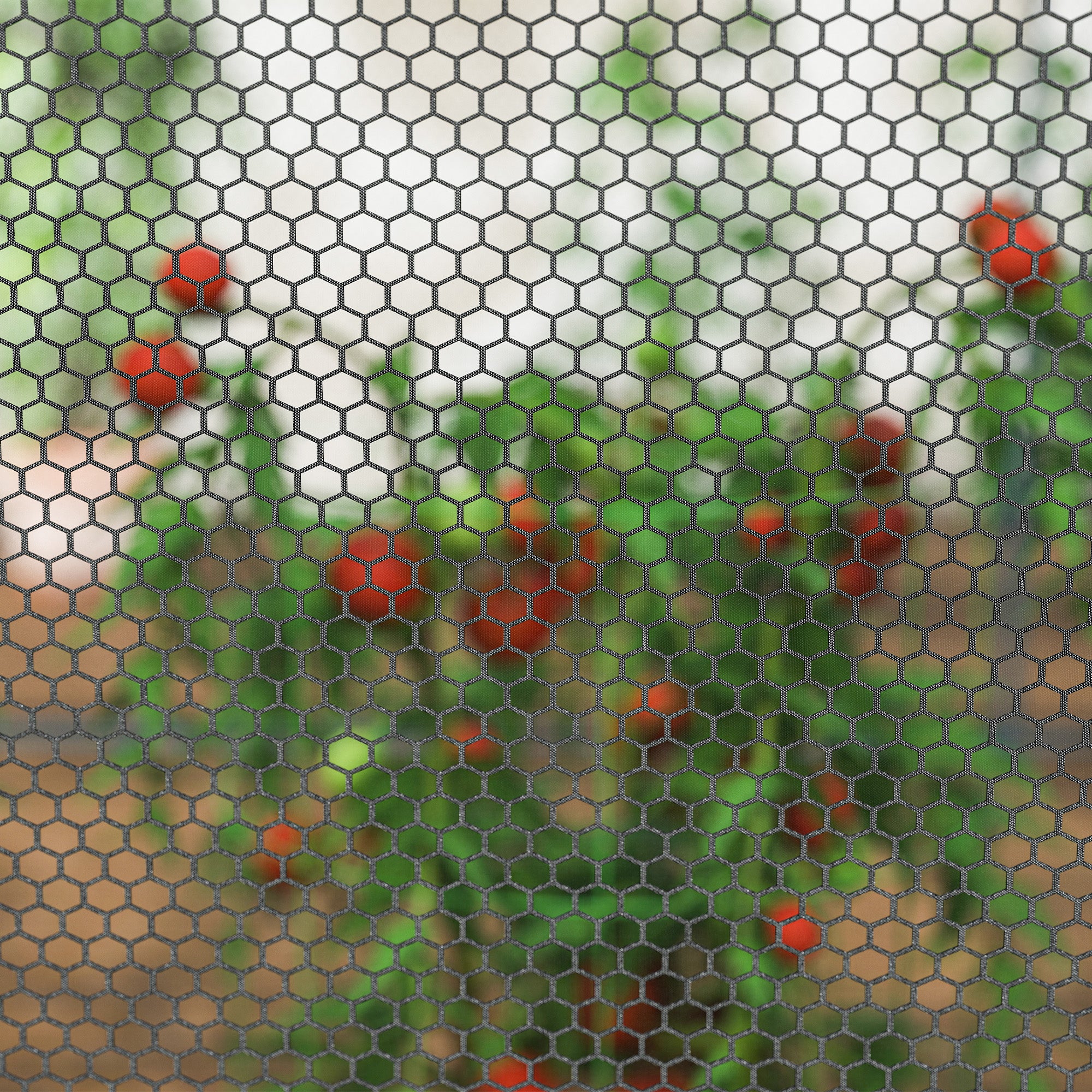 8' x 4' Crop Cage, Plant Protection Tent with Two Zippered Doors, Storage Bag and 4 Ground Stakes, for Garden, Yard, Lawn, Black - Black - Image 8