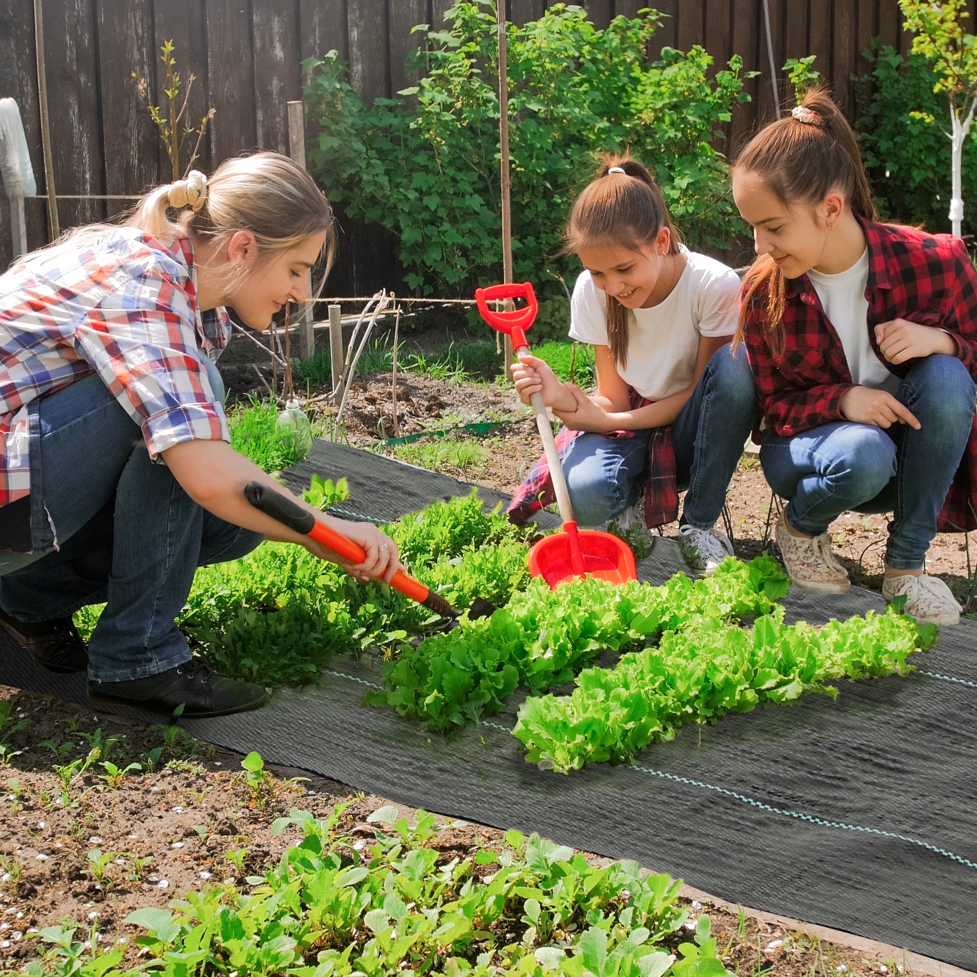 4FT x 300FT Weed Barrier Landscape Fabric, 5oz Heavy Duty Woven Weed Control Fabric for Landscaping - Black - Image 2