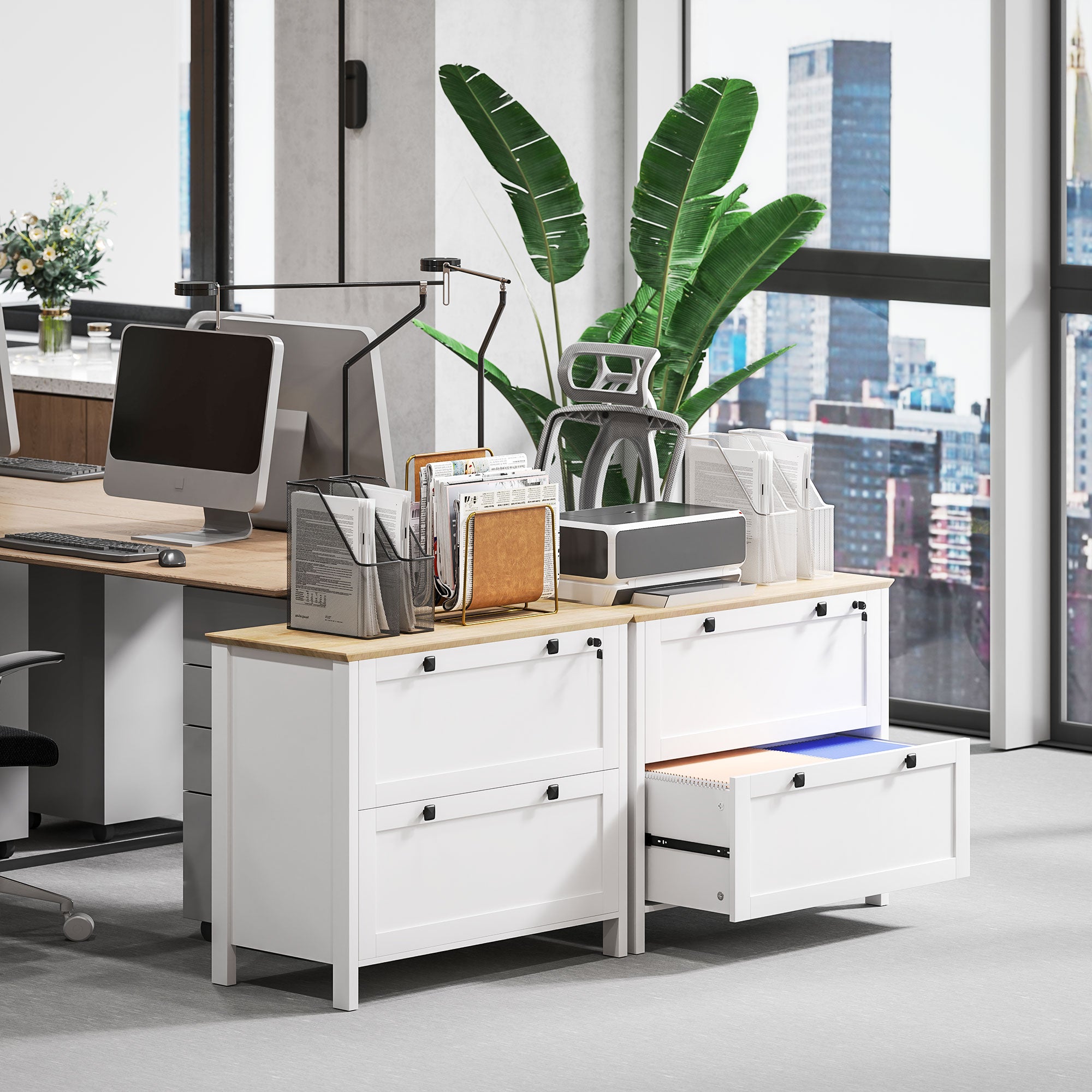 Lateral File Cabinet, 2 Drawer Filing Cabinet with Adjustable Hanging Bar for Letter, A4 and Legal Size, White