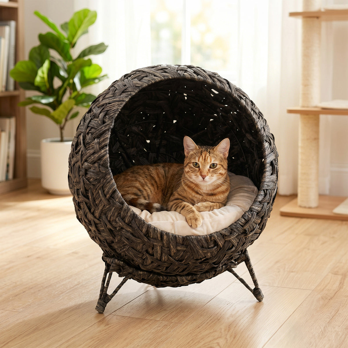 Rattan Cat Bed, Elevated Handwoven Cat Basket Bed with Soft Cushion and Metal Base