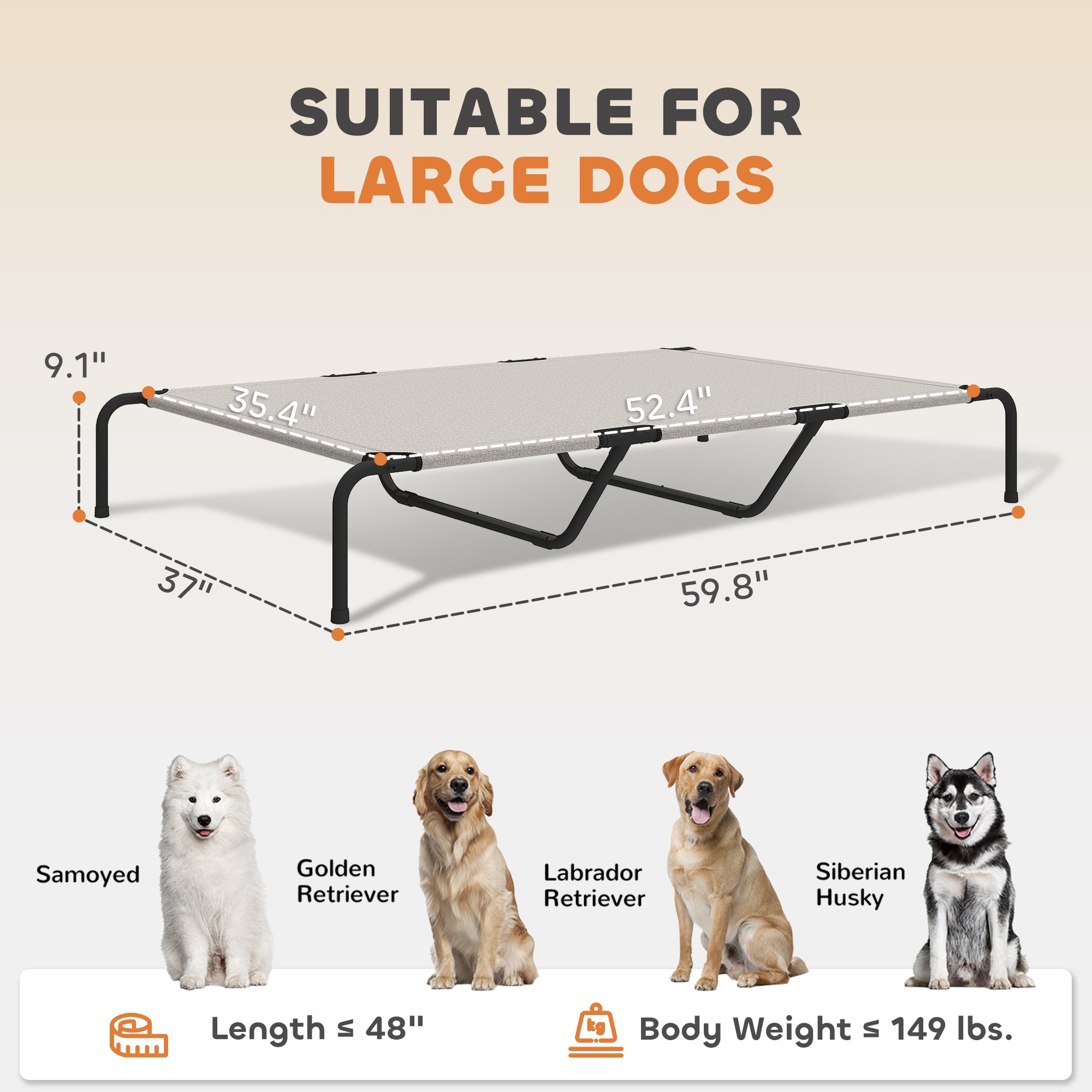 Elevated Dog Bed for Large Breeds Beige 60"L - Beige - Image 3