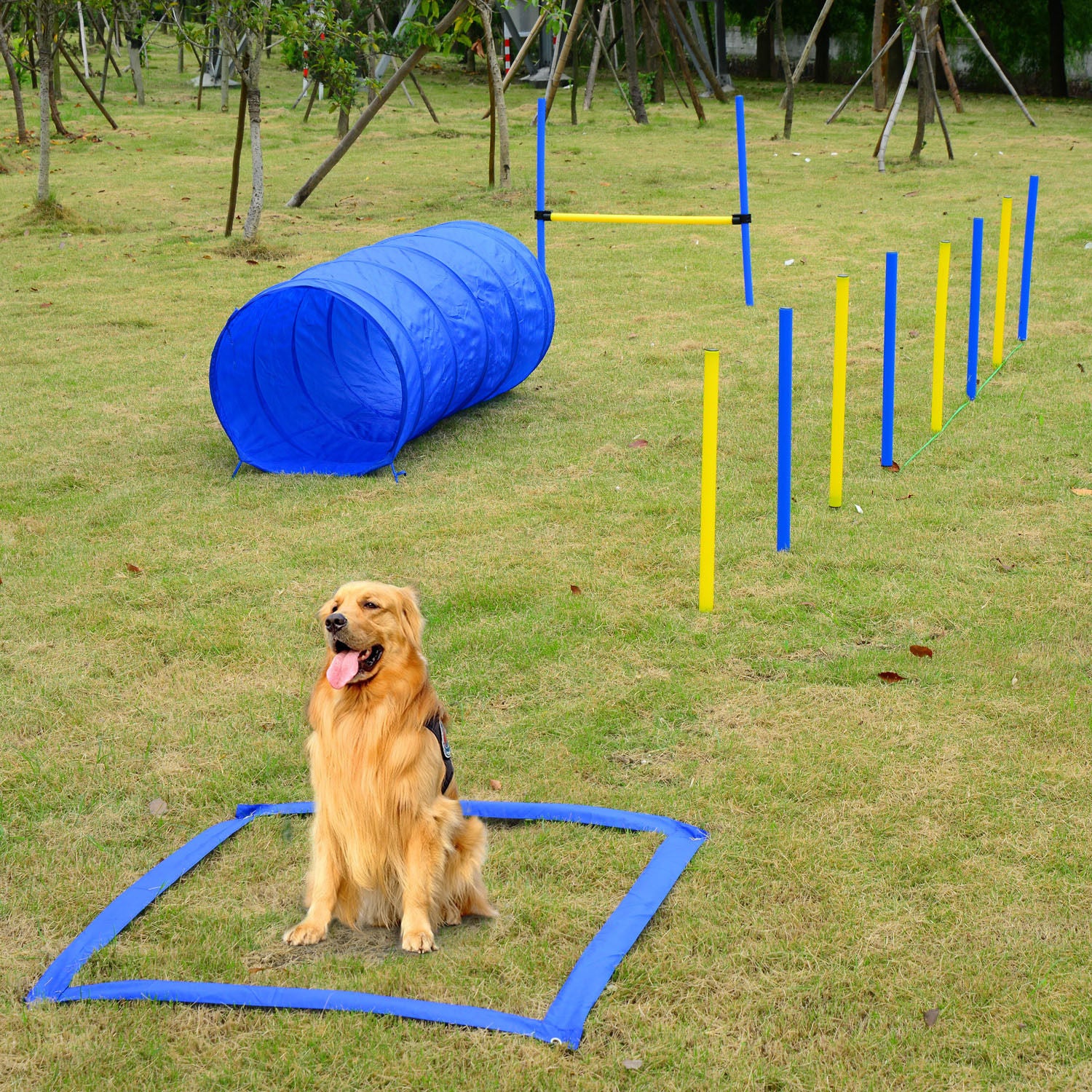 Backyard Competitive Dog Agility Training Kit Obstacle Course Equipment - Blue - Image 2