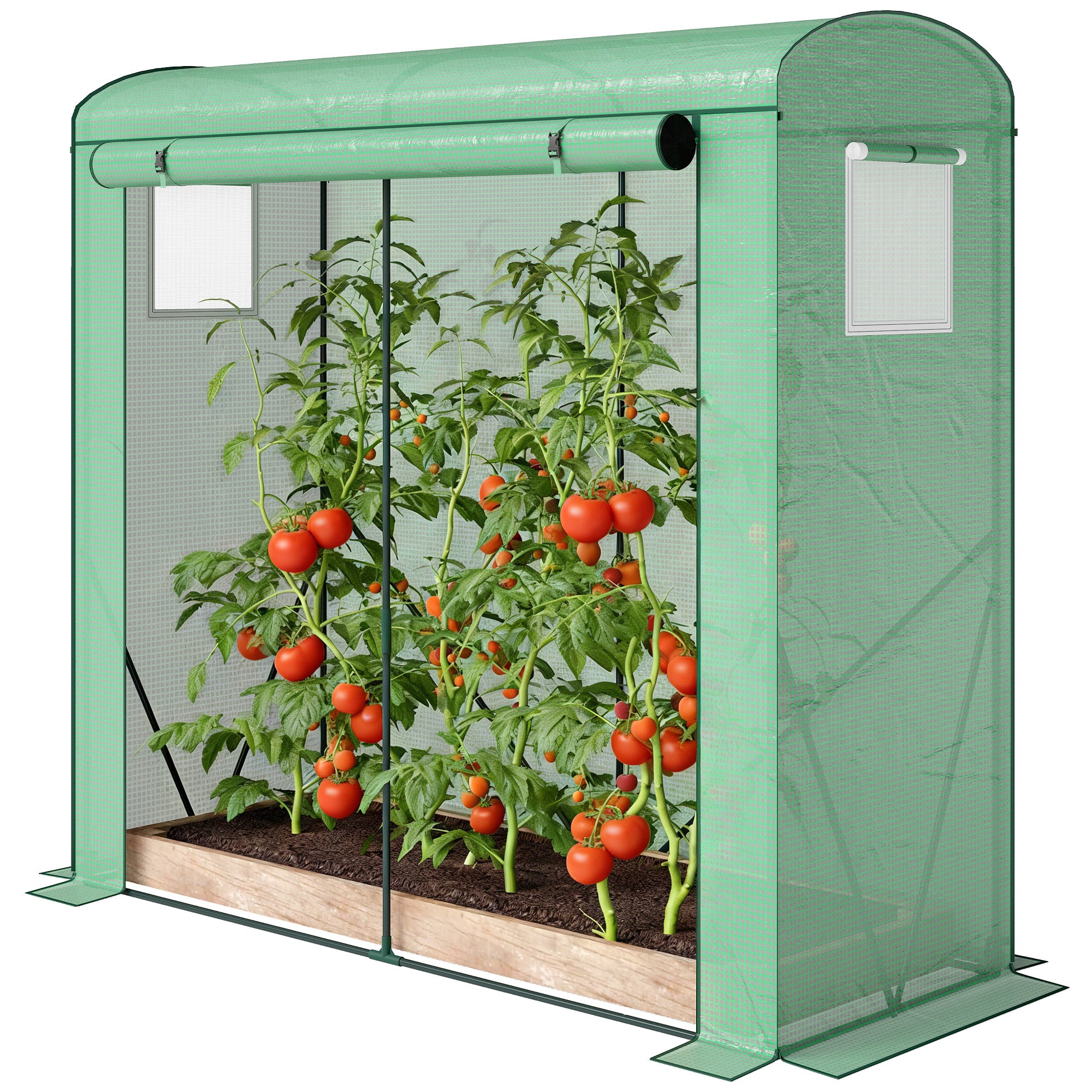 Mini Greenhouse, Portable Greenhouse with Roll-Up Door and 2 Mesh Windows, PE Cover, 78.7" x 29.5" x 74", Green - Green