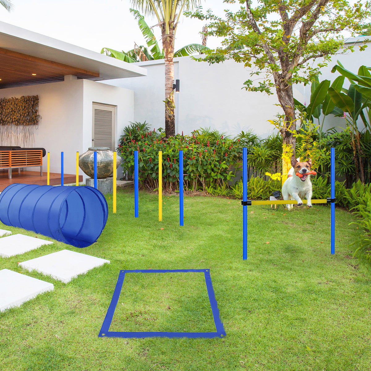 Backyard Competitive Dog Agility Training Kit Obstacle Course Equipment - Blue - Image 8
