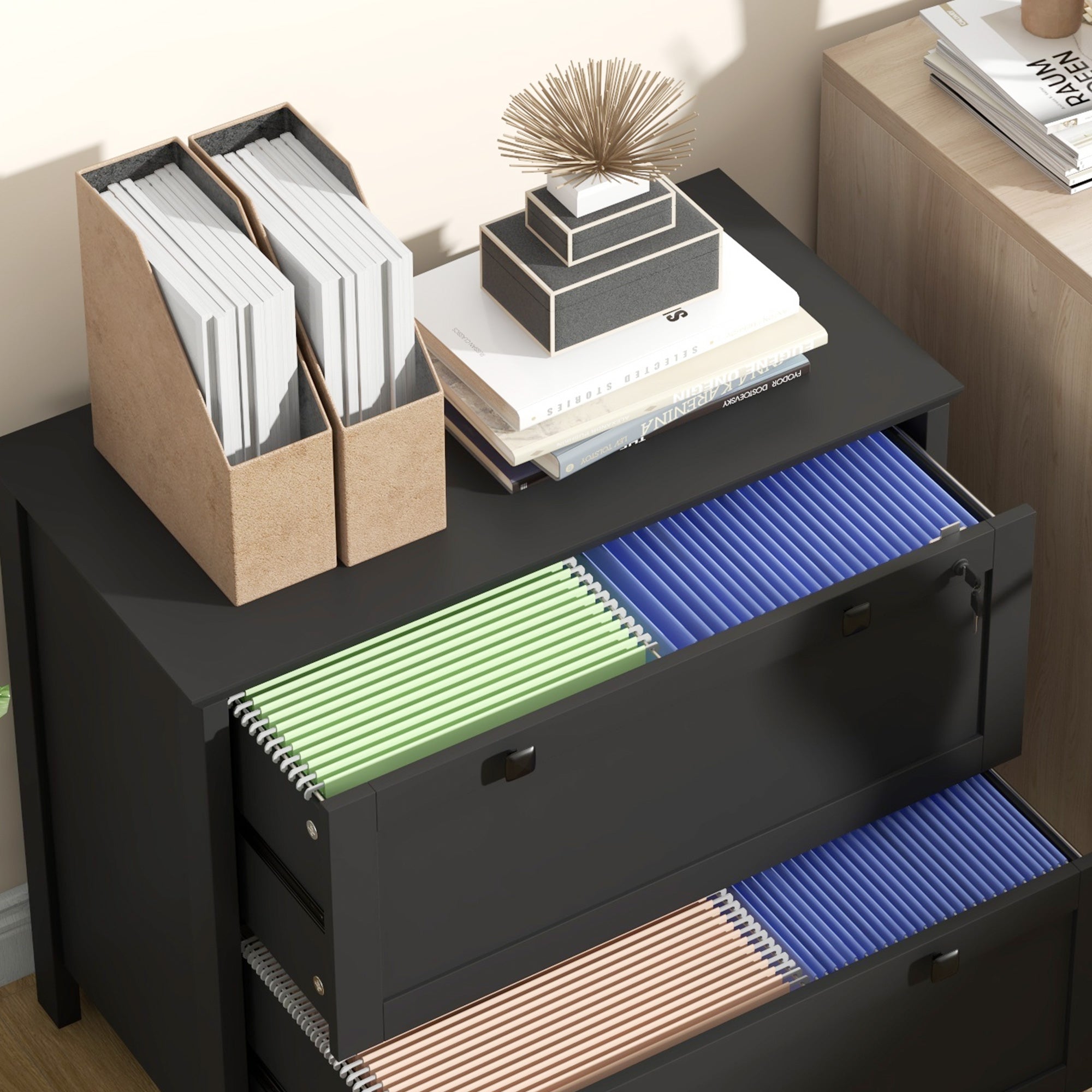 Lateral File Cabinet, 2 Drawer Filing Cabinet with Adjustable Hanging Bar for Letter, A4 and Legal Size, Black